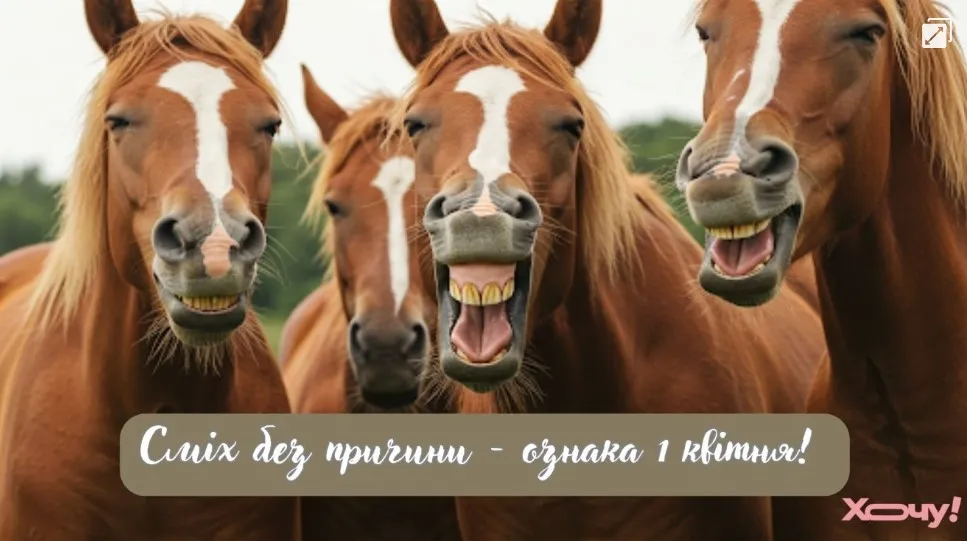 Забавные картинки к 1 апреля Забавные картинки к 1 апреля