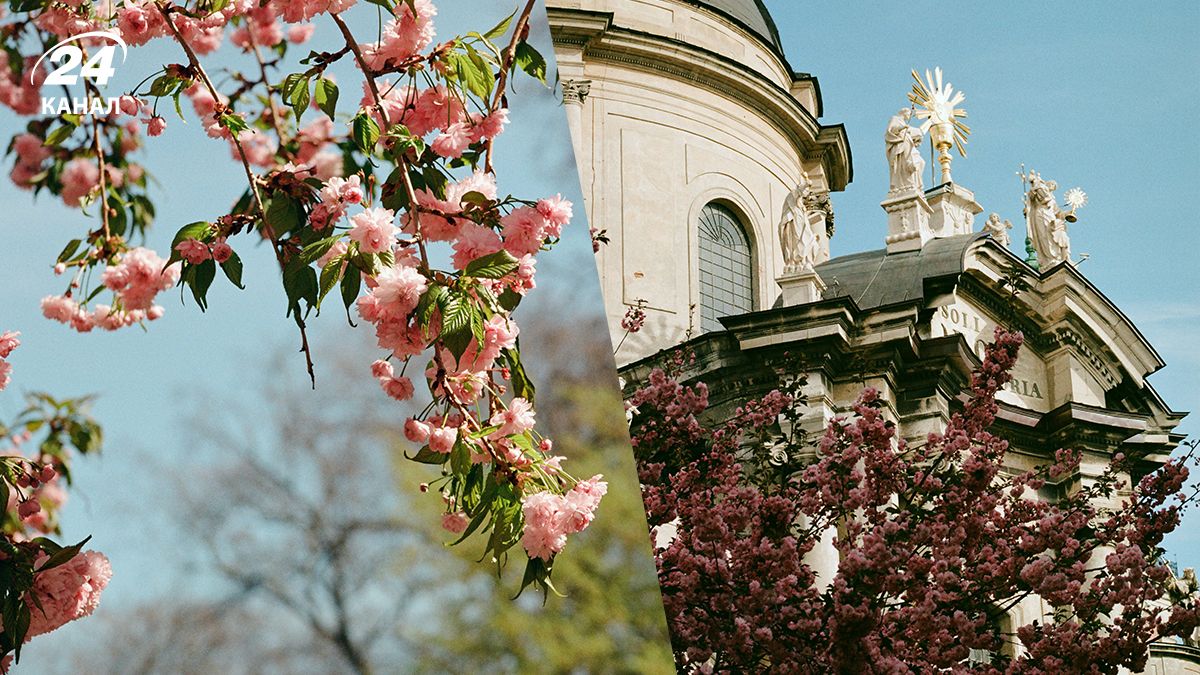 Во Львове появилась карта с локациями цветущих магнолий, сакур и других растений Во Львове появилась карта с локациями цветущих магнолий, сакур и других растений