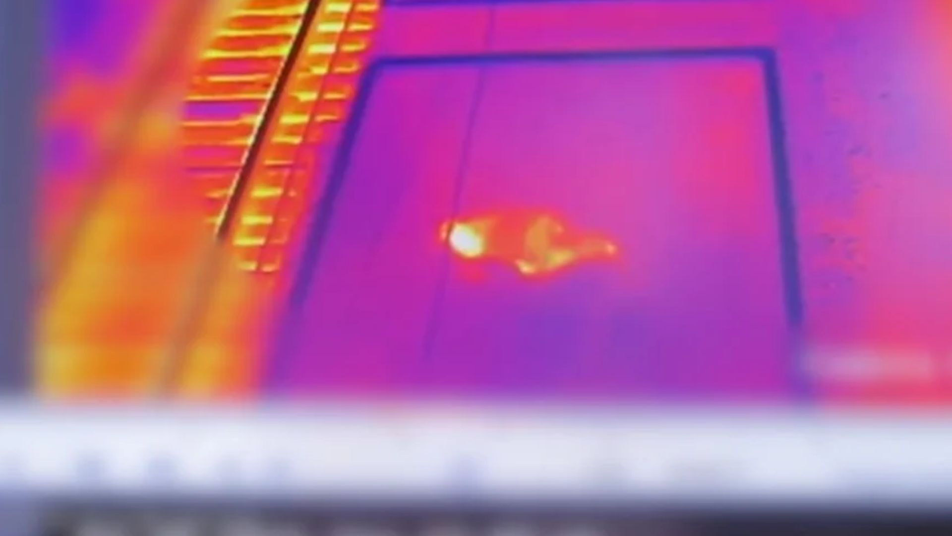 Государственный таможенный контроль Беларуси показал вероятное видео с ним Государственный таможенный контроль Беларуси показал вероятное видео с ним