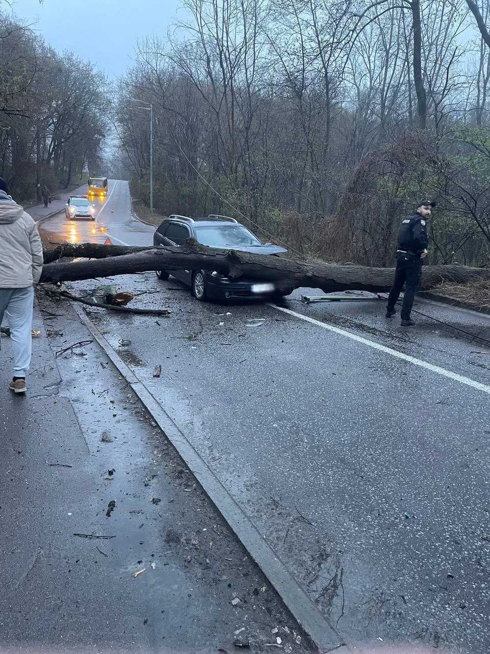 В Киеве дерево упало на авто во время движения 2 апреля В Киеве дерево упало на авто во время движения 2 апреля