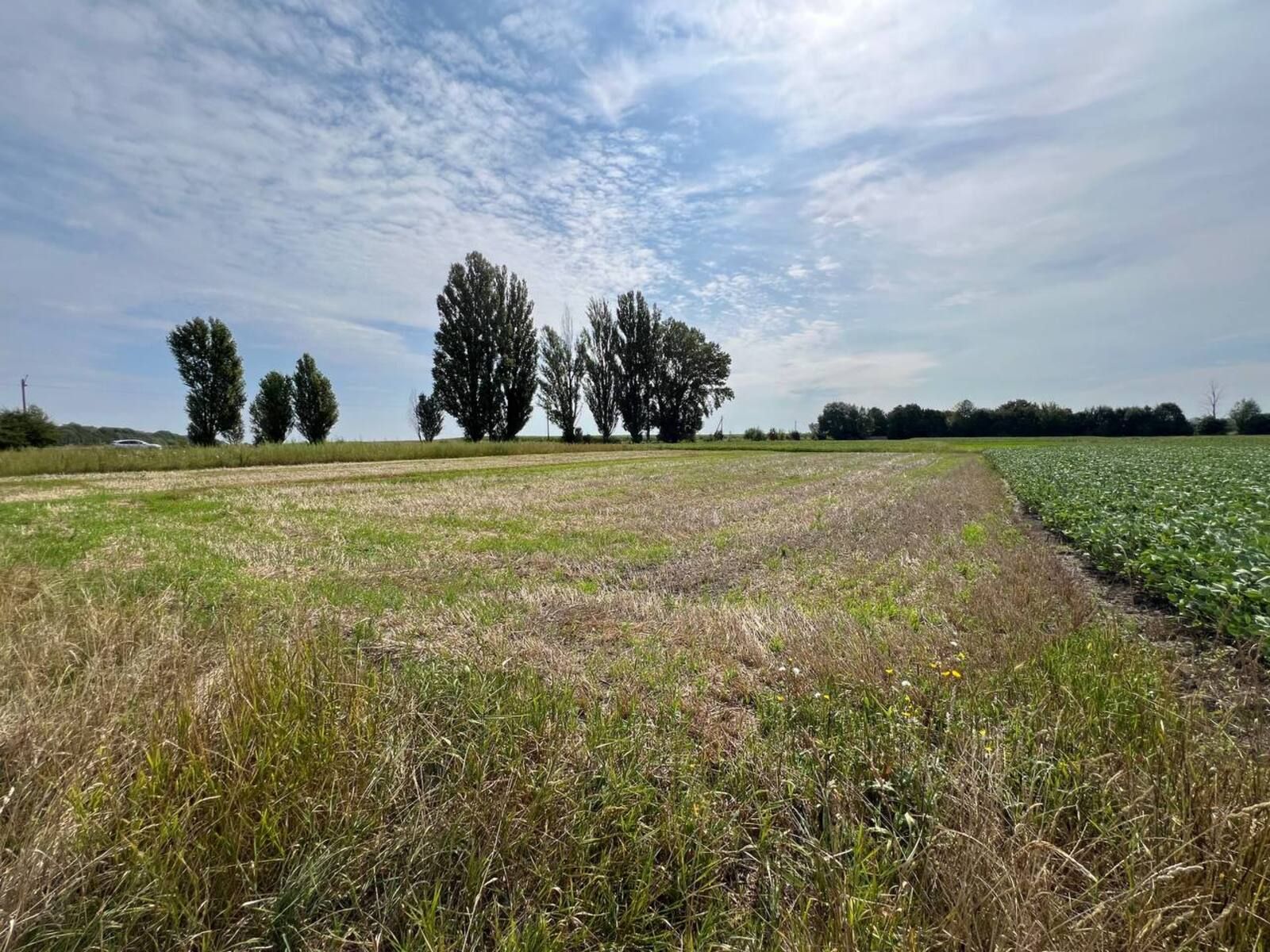 Кто может получить землю в 2025 году Кто может получить землю в 2025 году