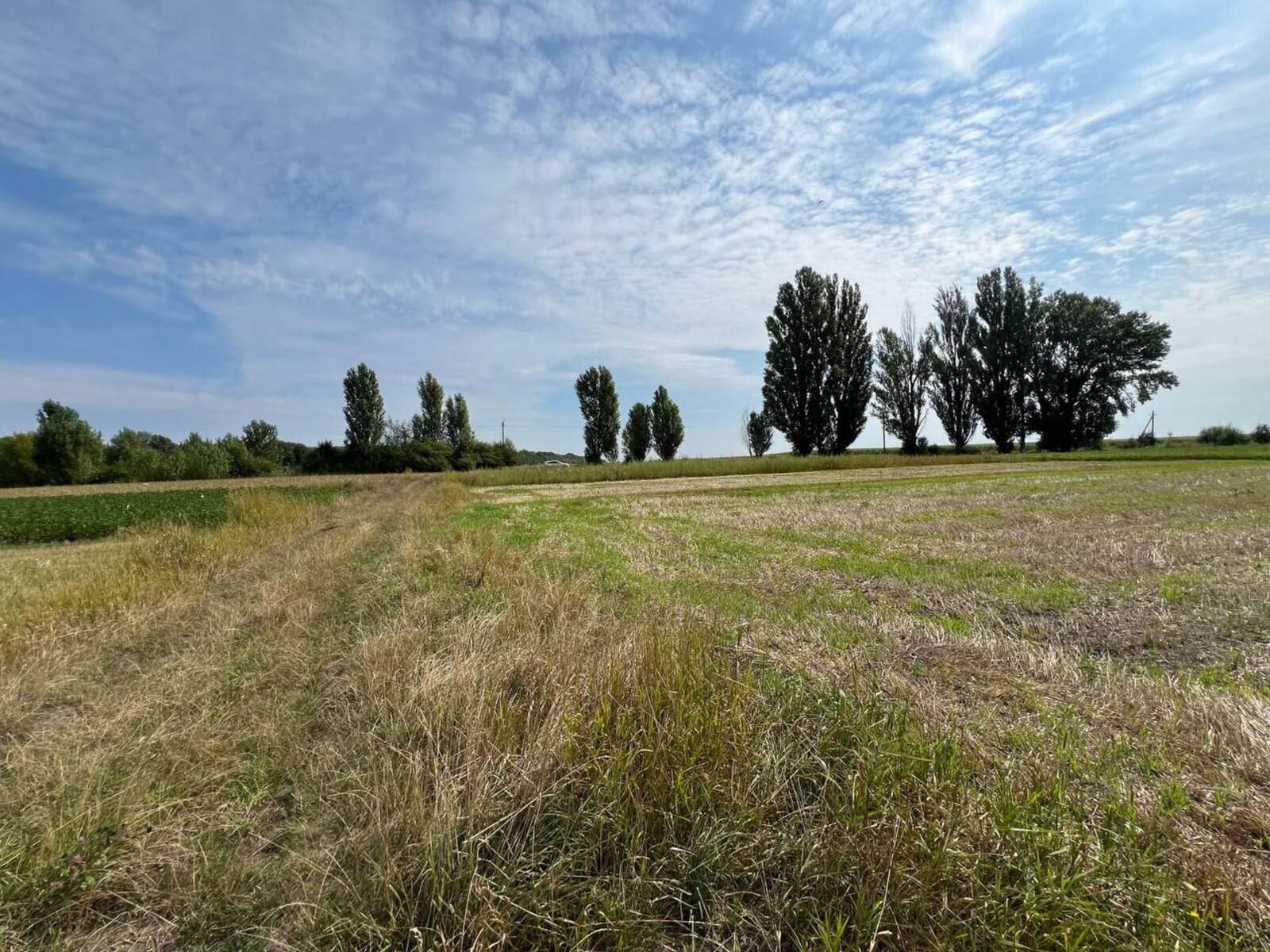 Який розмір суборенди землі можливий Який розмір суборенди землі можливий