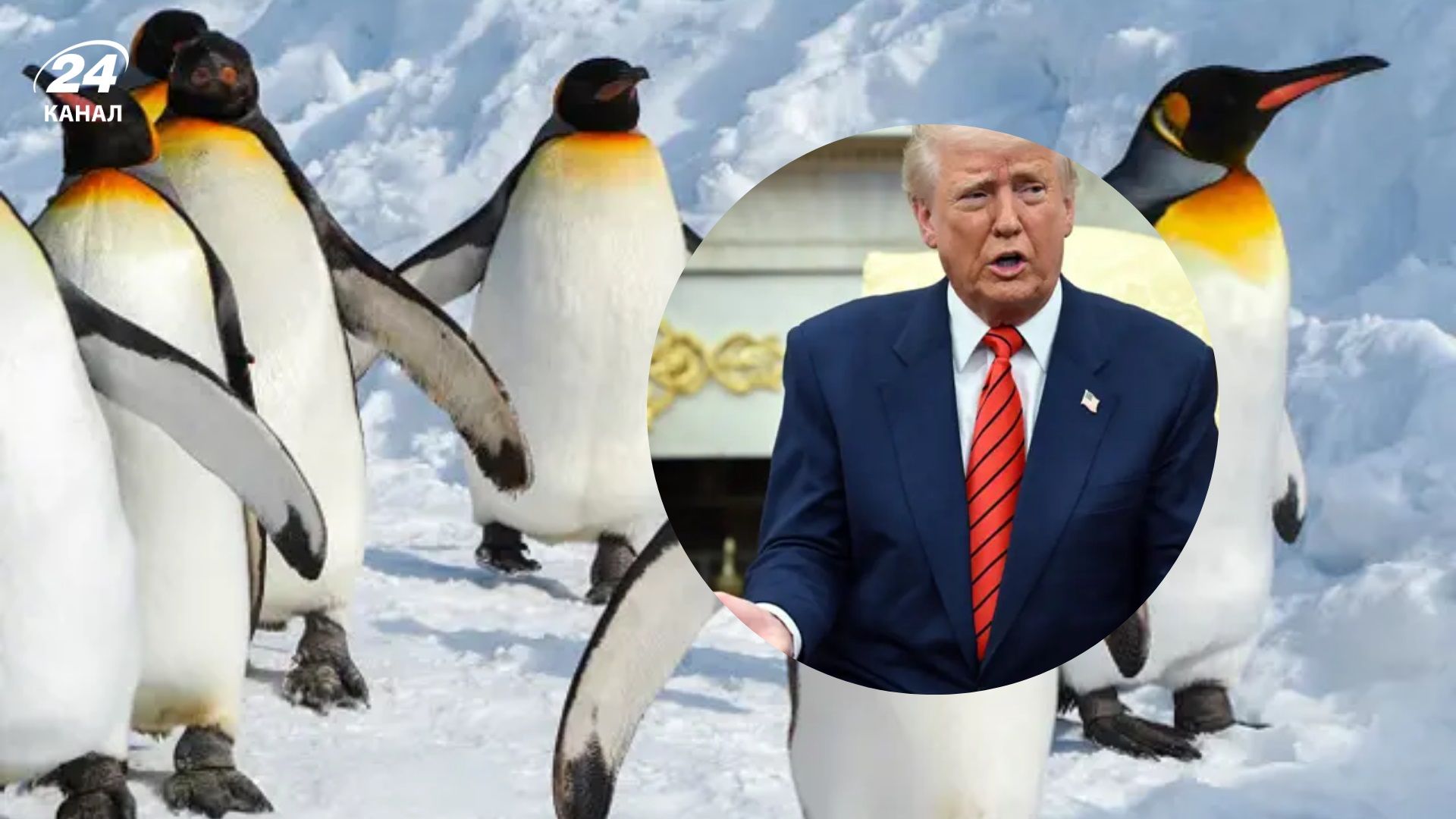 Трамп ввел пошлины против необитаемых островов Трамп ввел пошлины против необитаемых островов