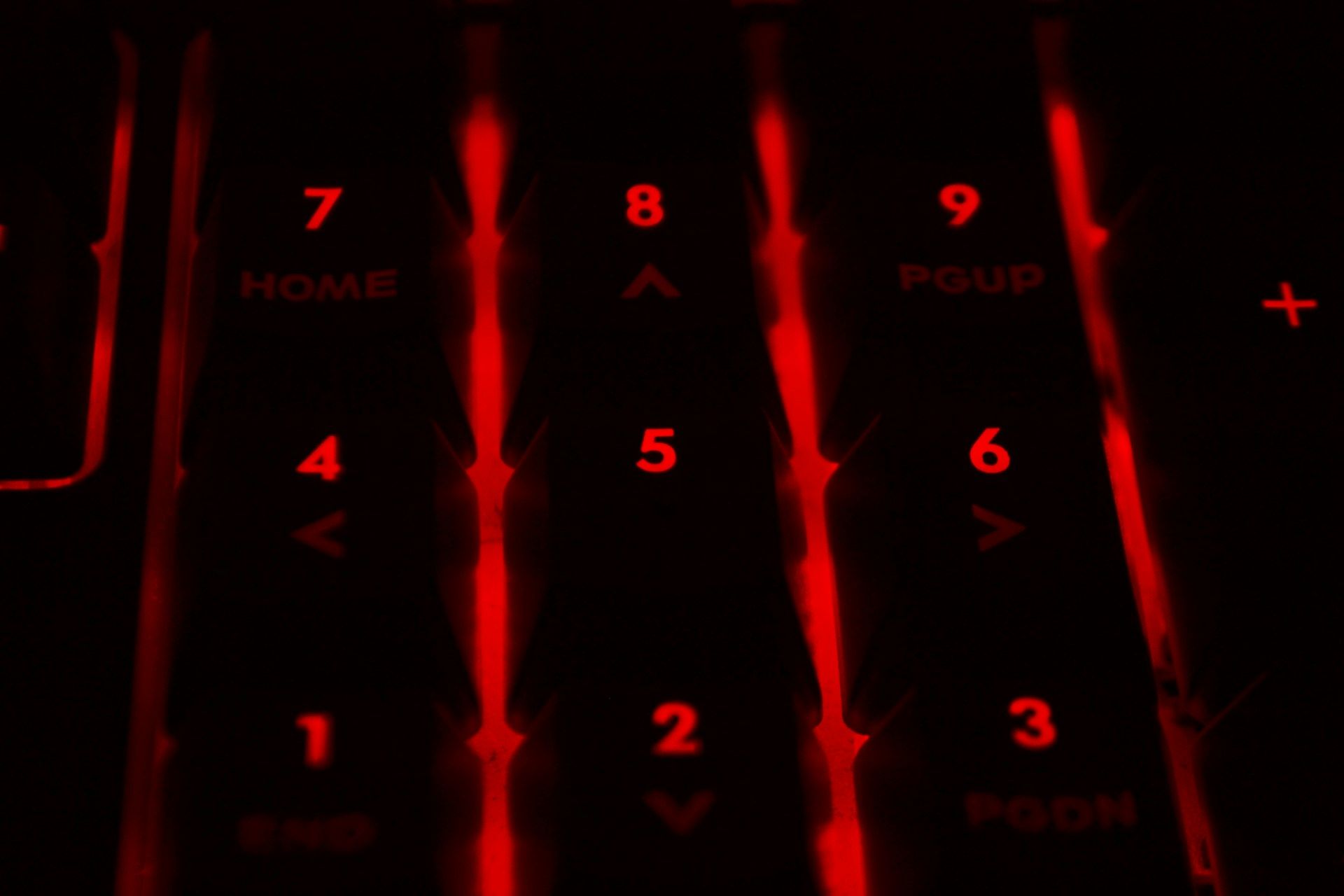 Иллюстративное фото Иллюстративное фото