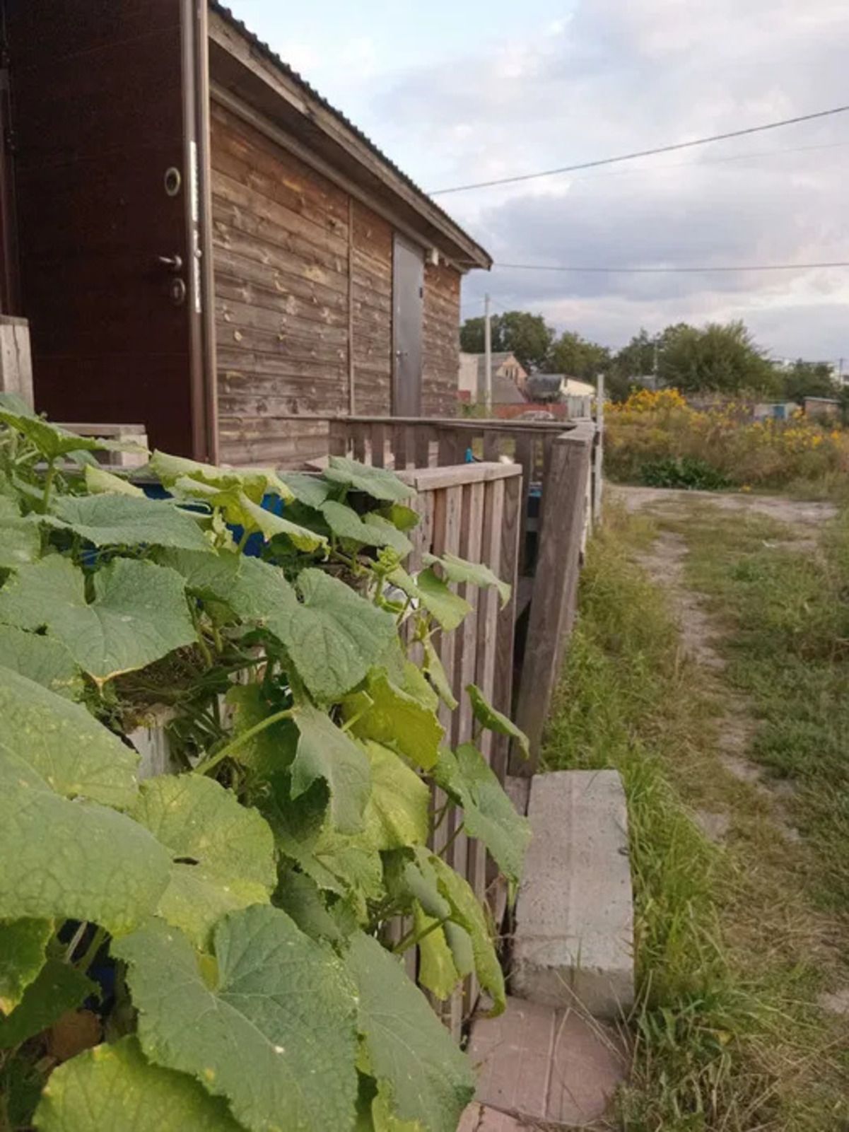 Квартира за 5 тисяч гривень у Києві - чому така дешева оренда, які умови - Нерухомість Квартира за 5 тисяч гривень у Києві - чому така дешева оренда, які умови - Нерухомість