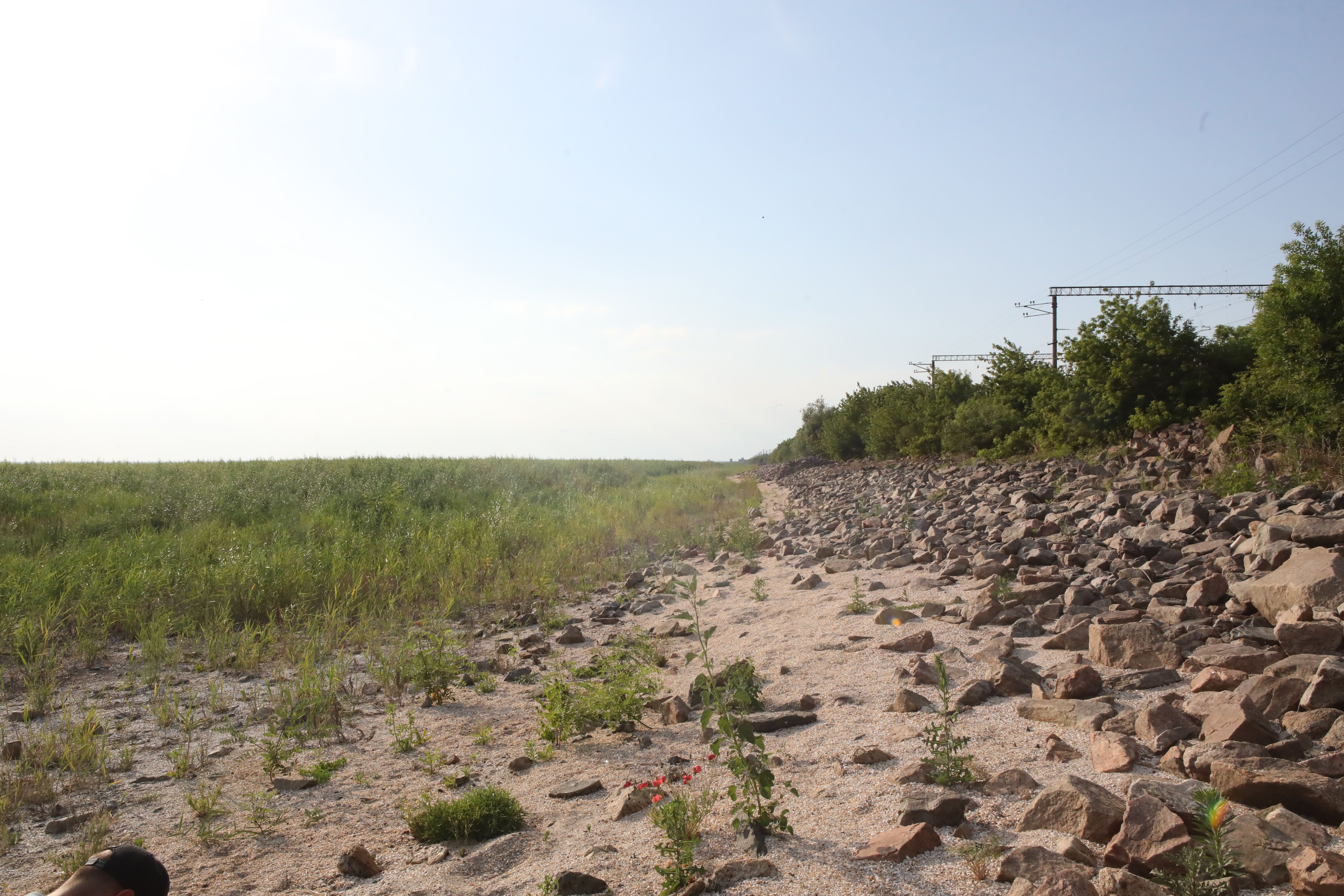 Подрыв Каховской ГЭС ударил по фермерам Подрыв Каховской ГЭС ударил по фермерам
