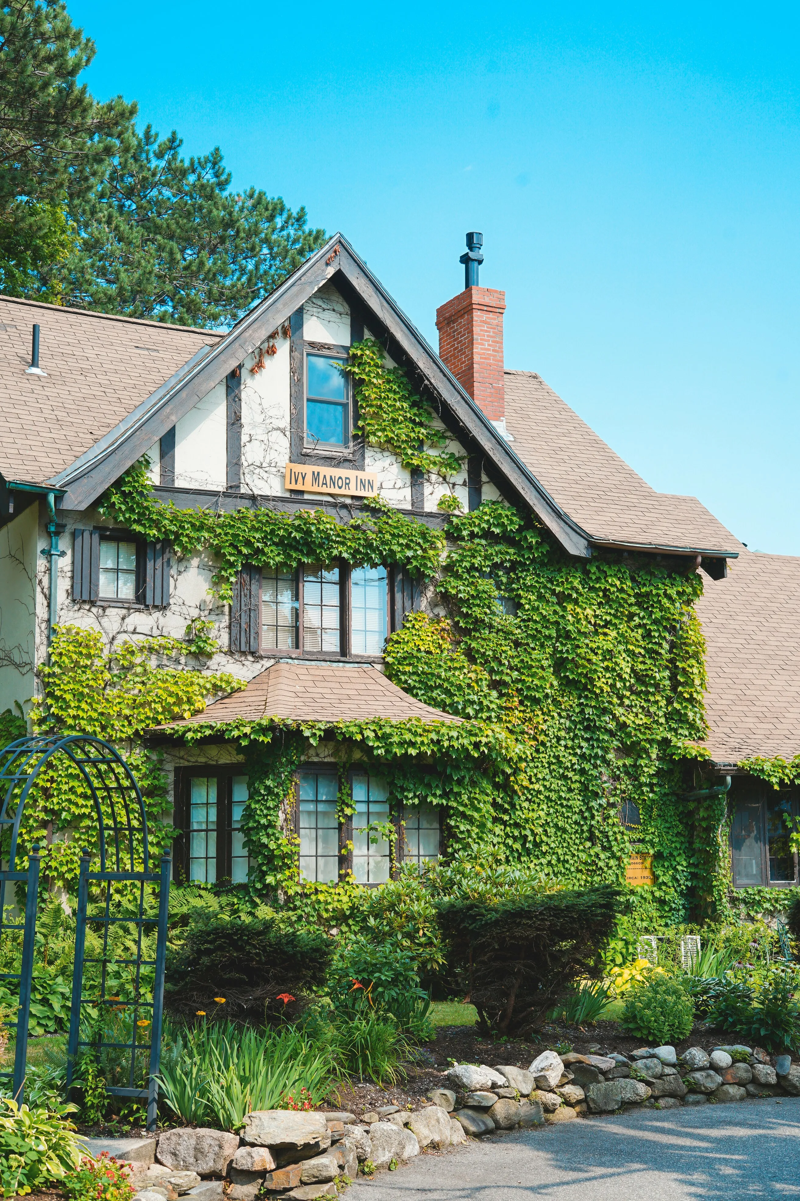 Вьющиеся растения на фасаде могут навредить Вьющиеся растения на фасаде могут навредить