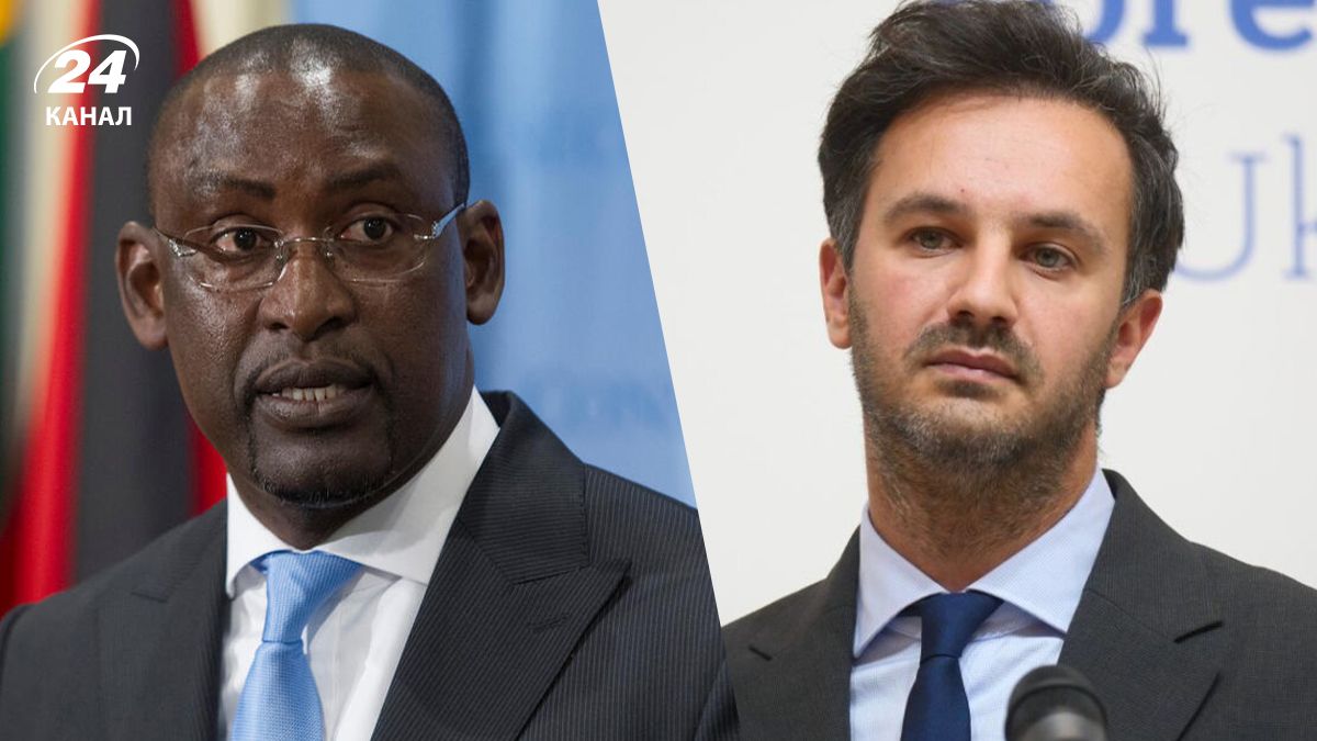 Як відреагували у МЗС України на звинувачення Малі Як відреагували у МЗС України на звинувачення Малі