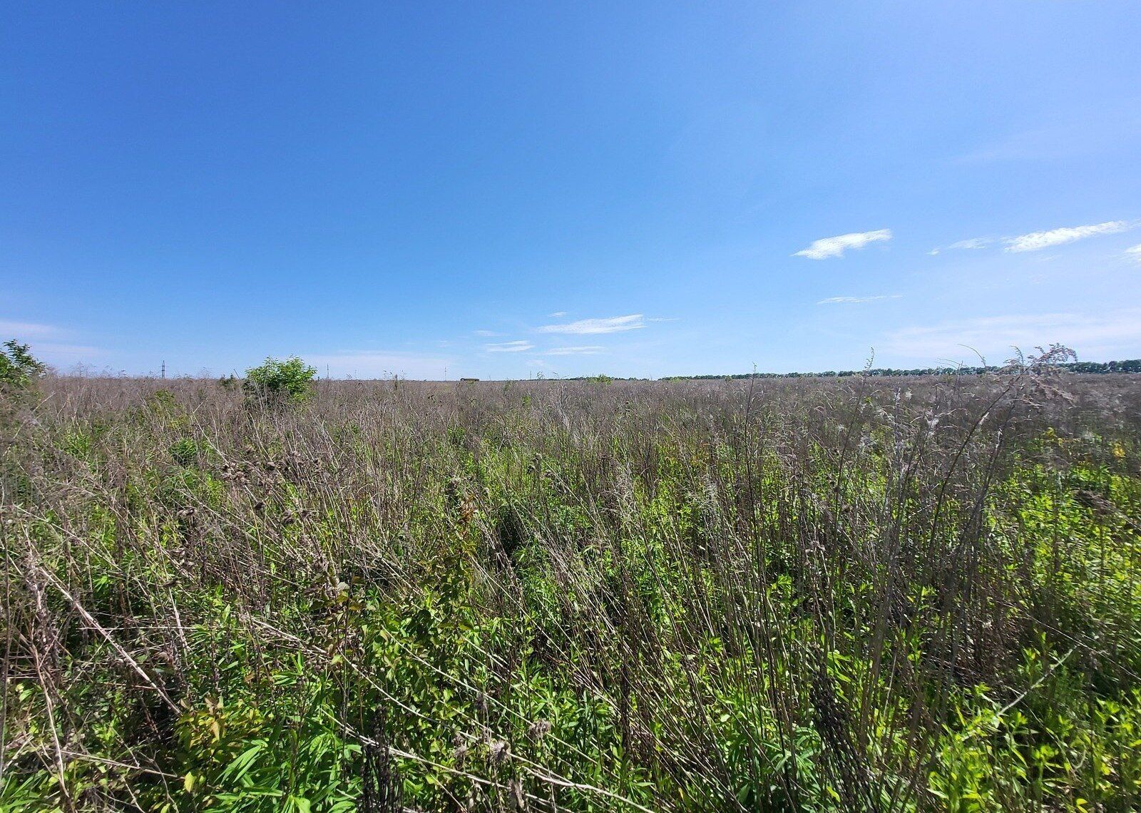 Кто не платит налог на землю Кто не платит налог на землю