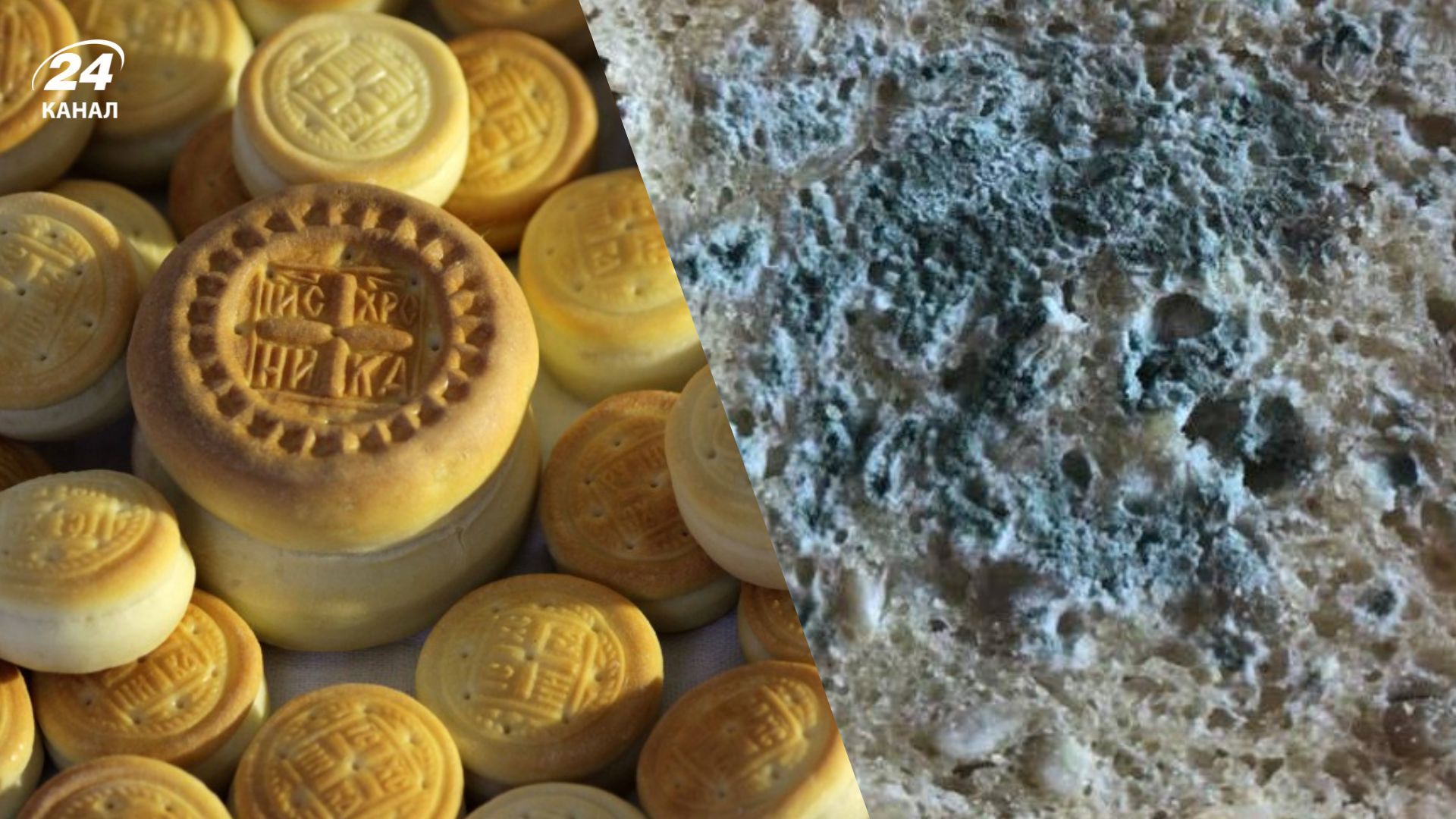 Что делать, если проскура зацвела Что делать, если проскура зацвела