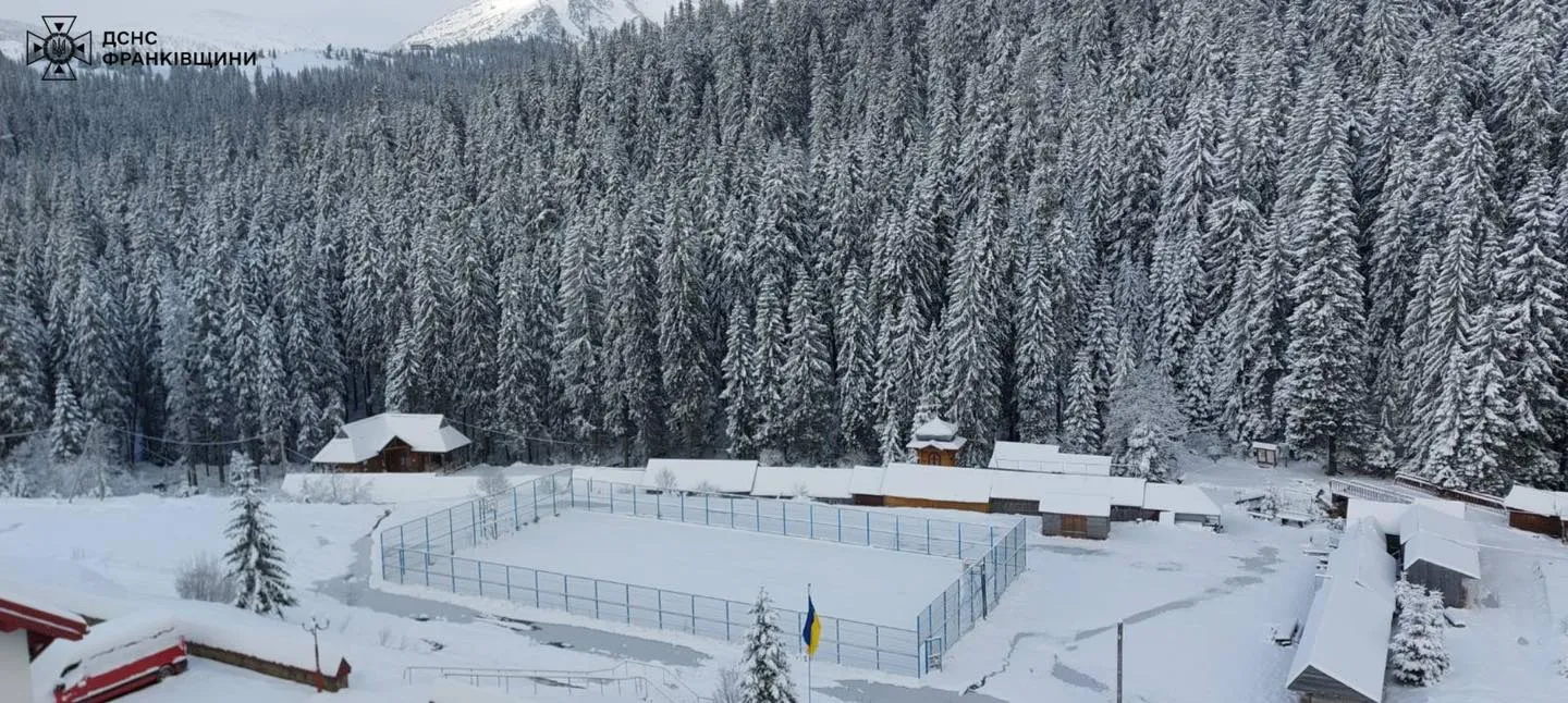 Заросляк в снегу Заросляк в снегу