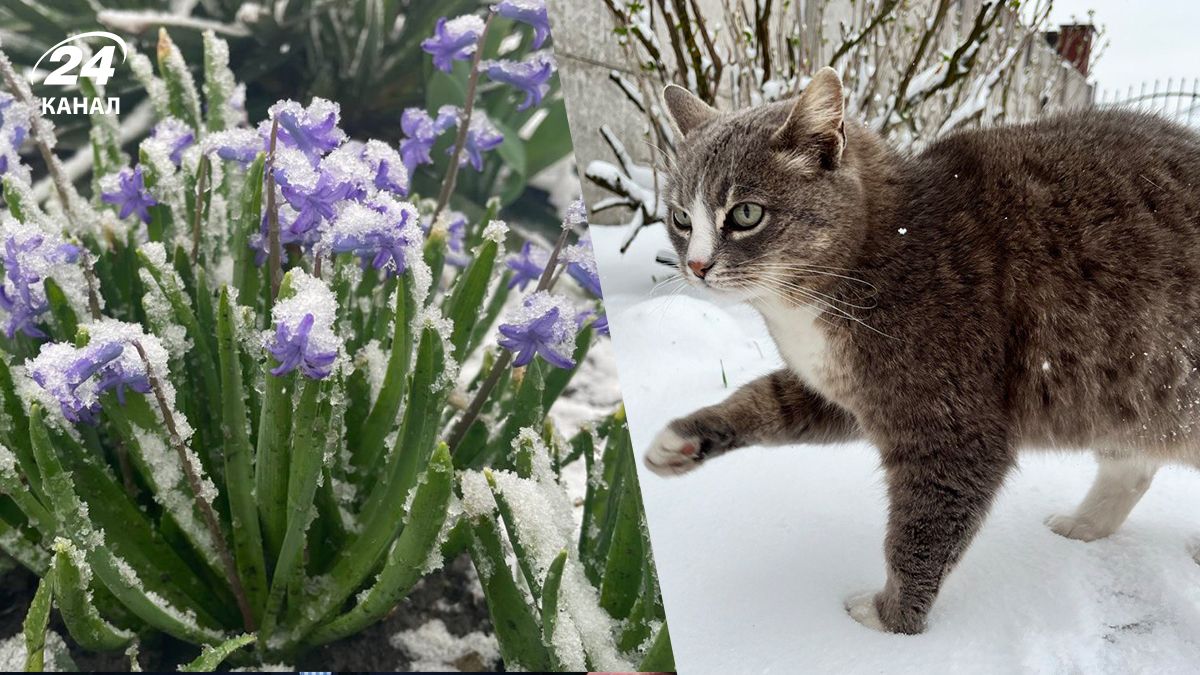 Каким был снег в Украине 6 апреля Каким был снег в Украине 6 апреля