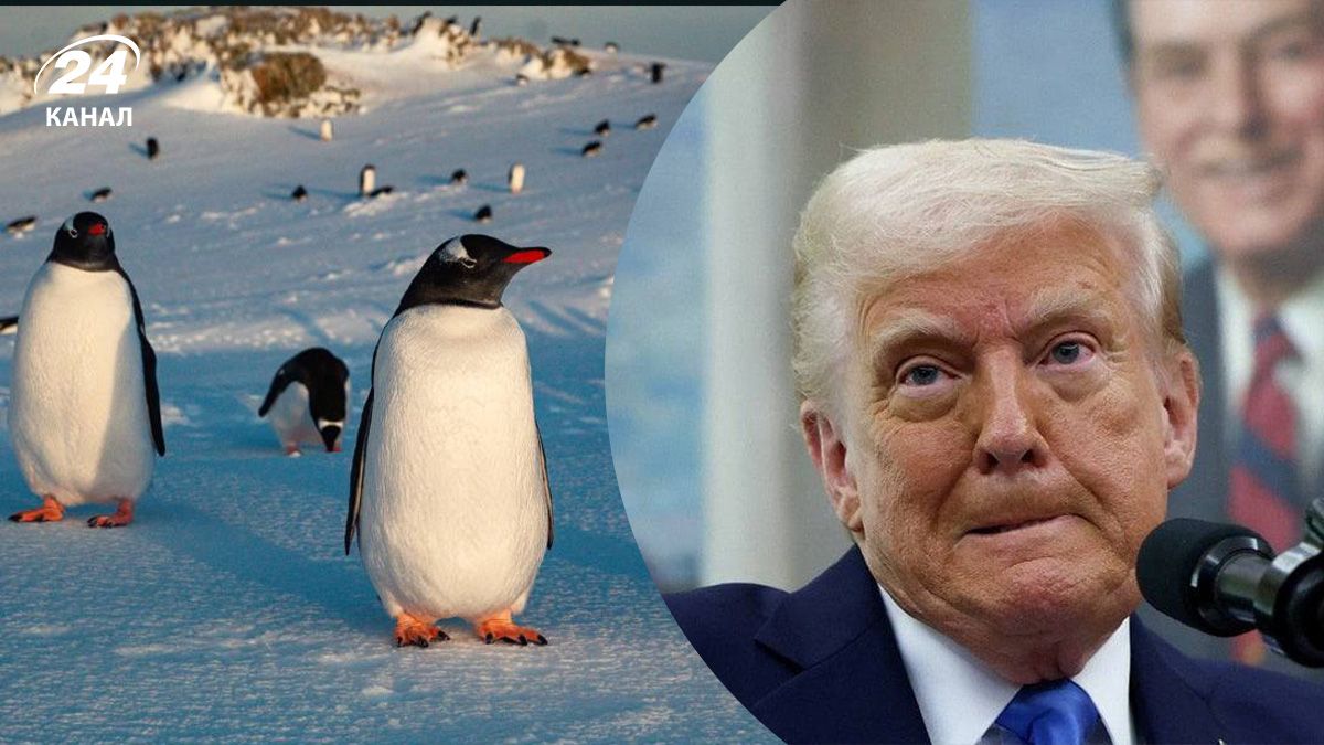 Трамп ввів мита на острови без людей Трамп ввів мита на острови без людей