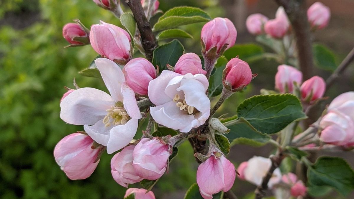 Когда будет потепление Когда будет потепление