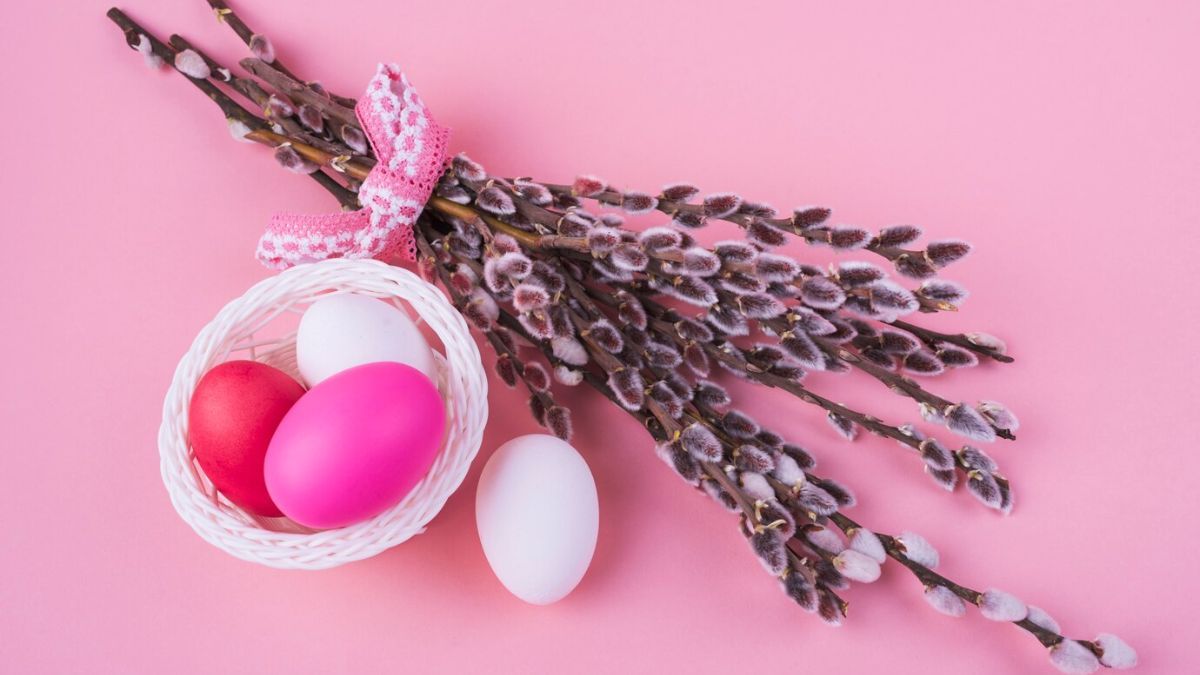 Що робити зі старою свяченою вербою Що робити зі старою свяченою вербою