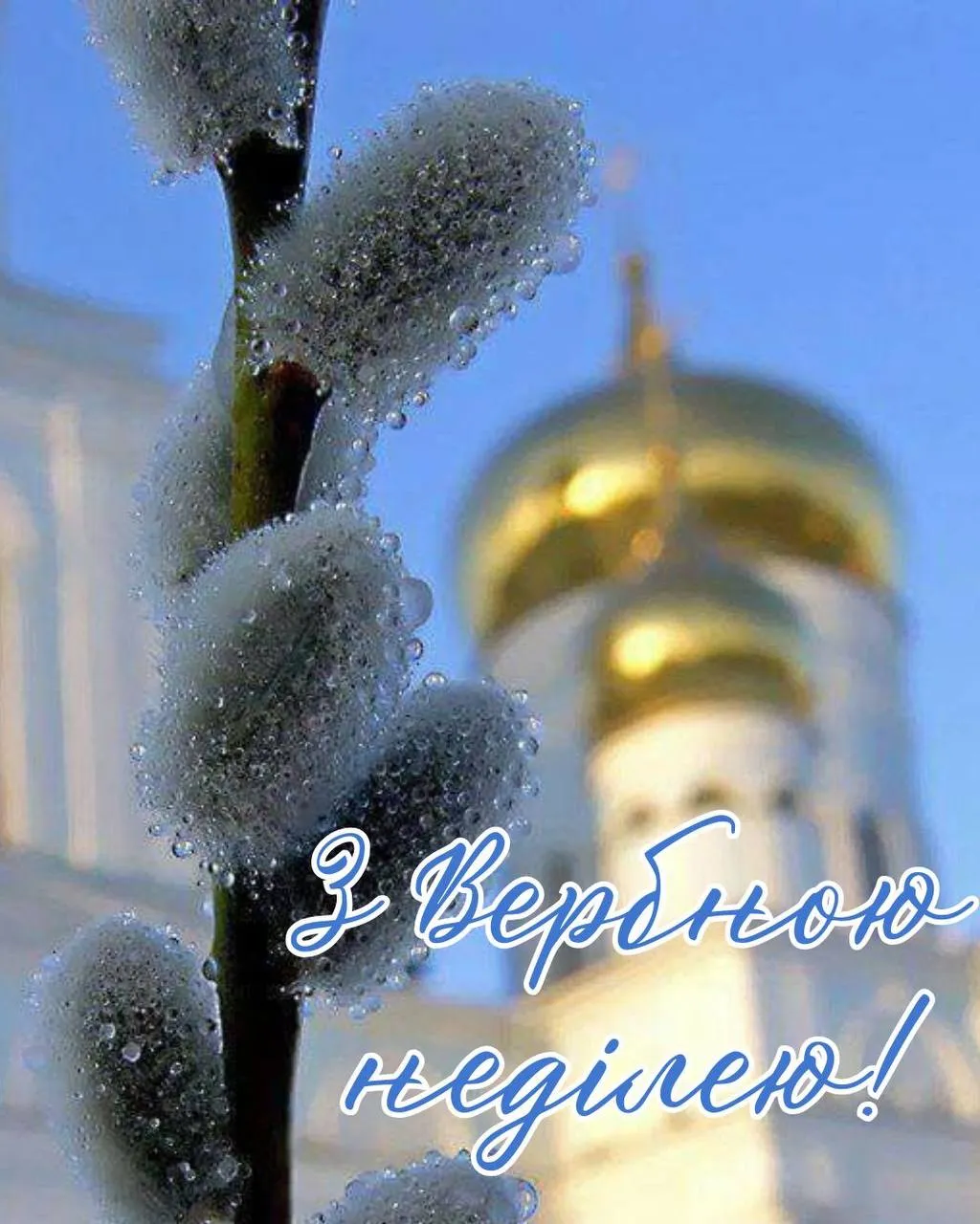 Привітання з Вербною неділею 2025 Привітання з Вербною неділею 2025