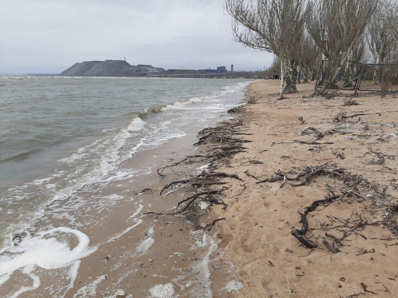 В Мариуполе произошел мор рыбы В Мариуполе произошел мор рыбы