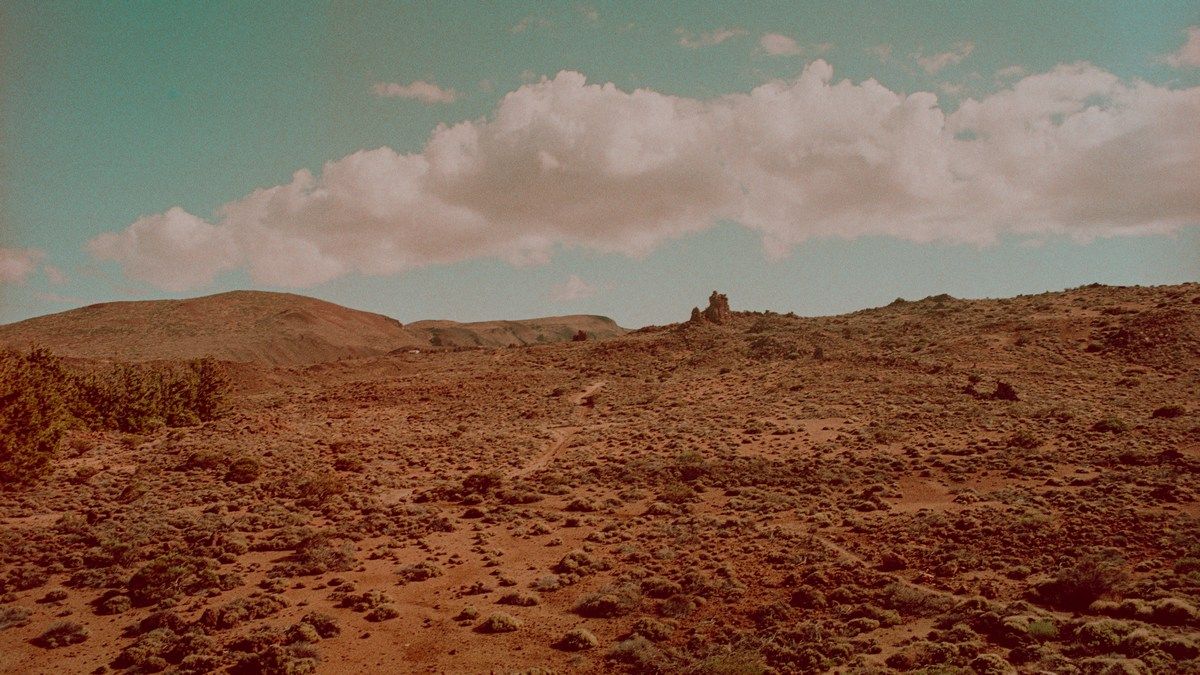 Лишайники здатні вижити на Марсі, дослідження перевірило їх в аналогічних умовах Лишайники здатні вижити на Марсі, дослідження перевірило їх в аналогічних умовах