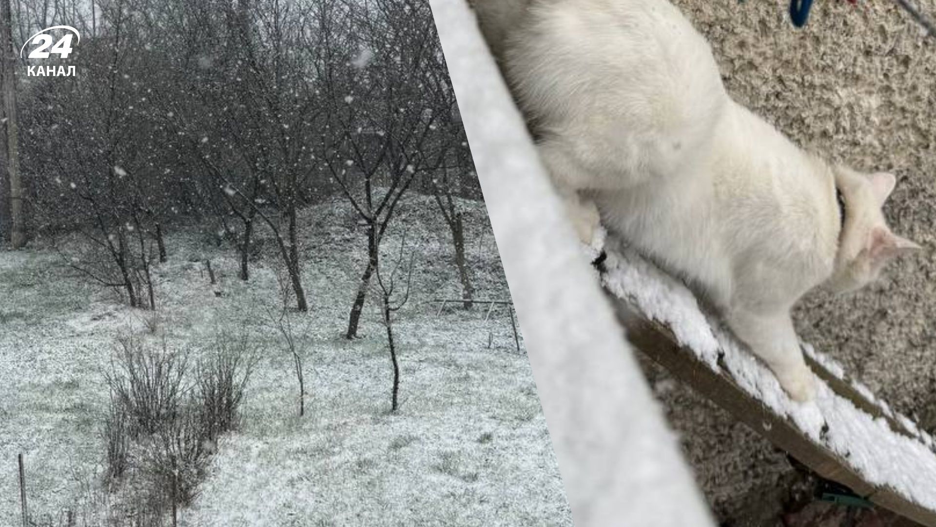 В Украине снег и метели - 24 Канал В Украине снег и метели - 24 Канал