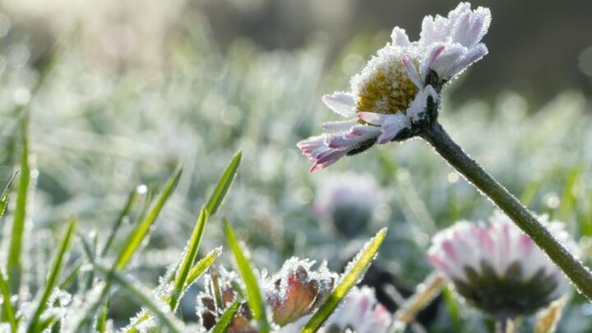 Прогноз погоди в Україні 9 квітня - 24 Канал Прогноз погоди в Україні 9 квітня - 24 Канал
