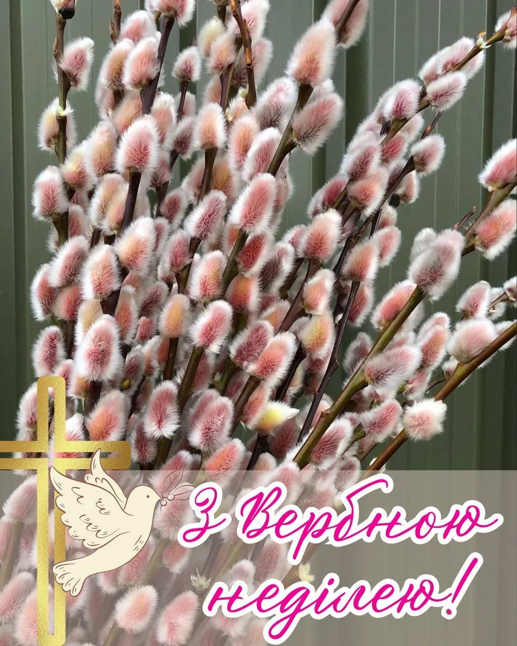 Привітання з Вербною неділею 2025 Привітання з Вербною неділею 2025