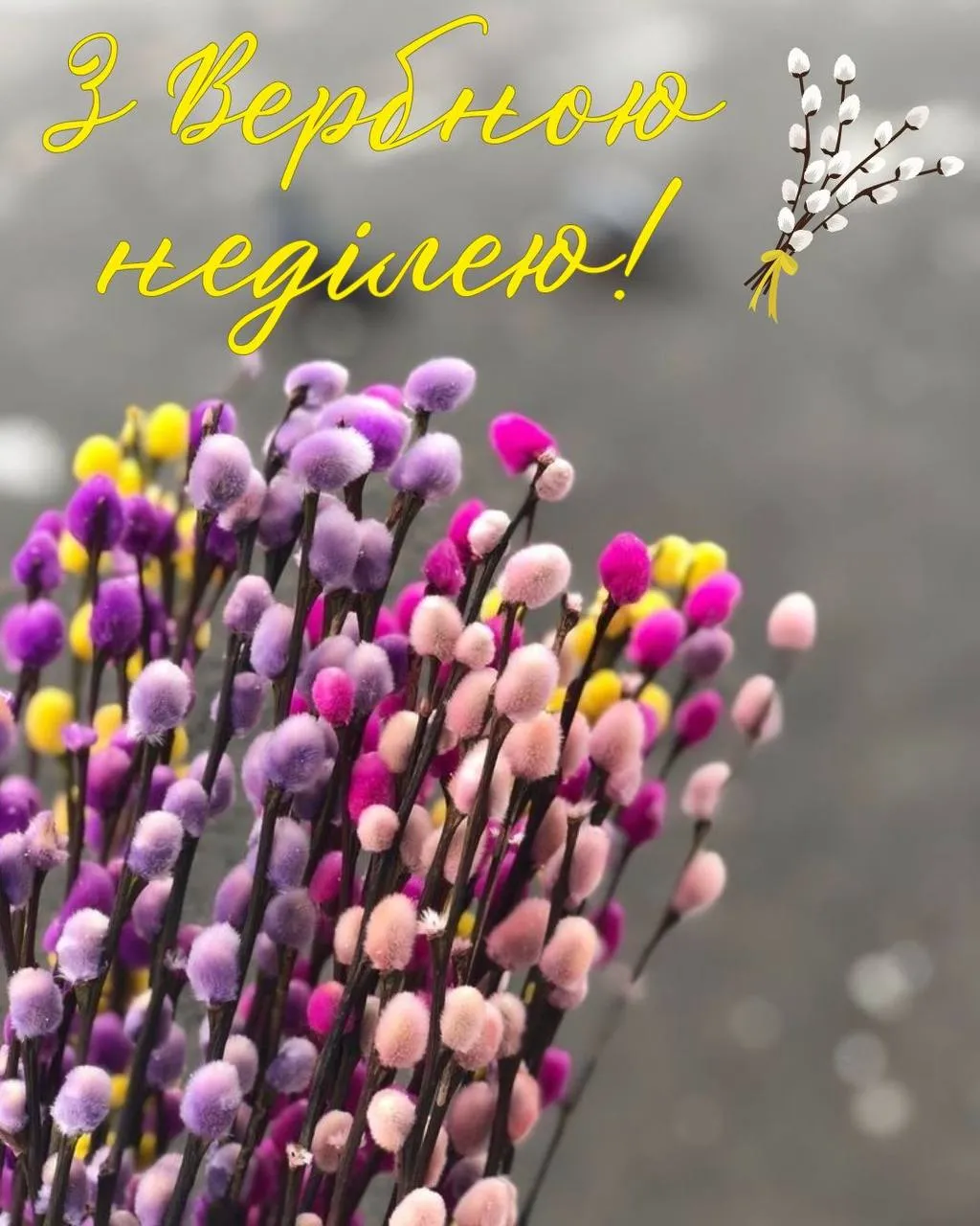 Привітання з Вербною неділею 2025 Привітання з Вербною неділею 2025