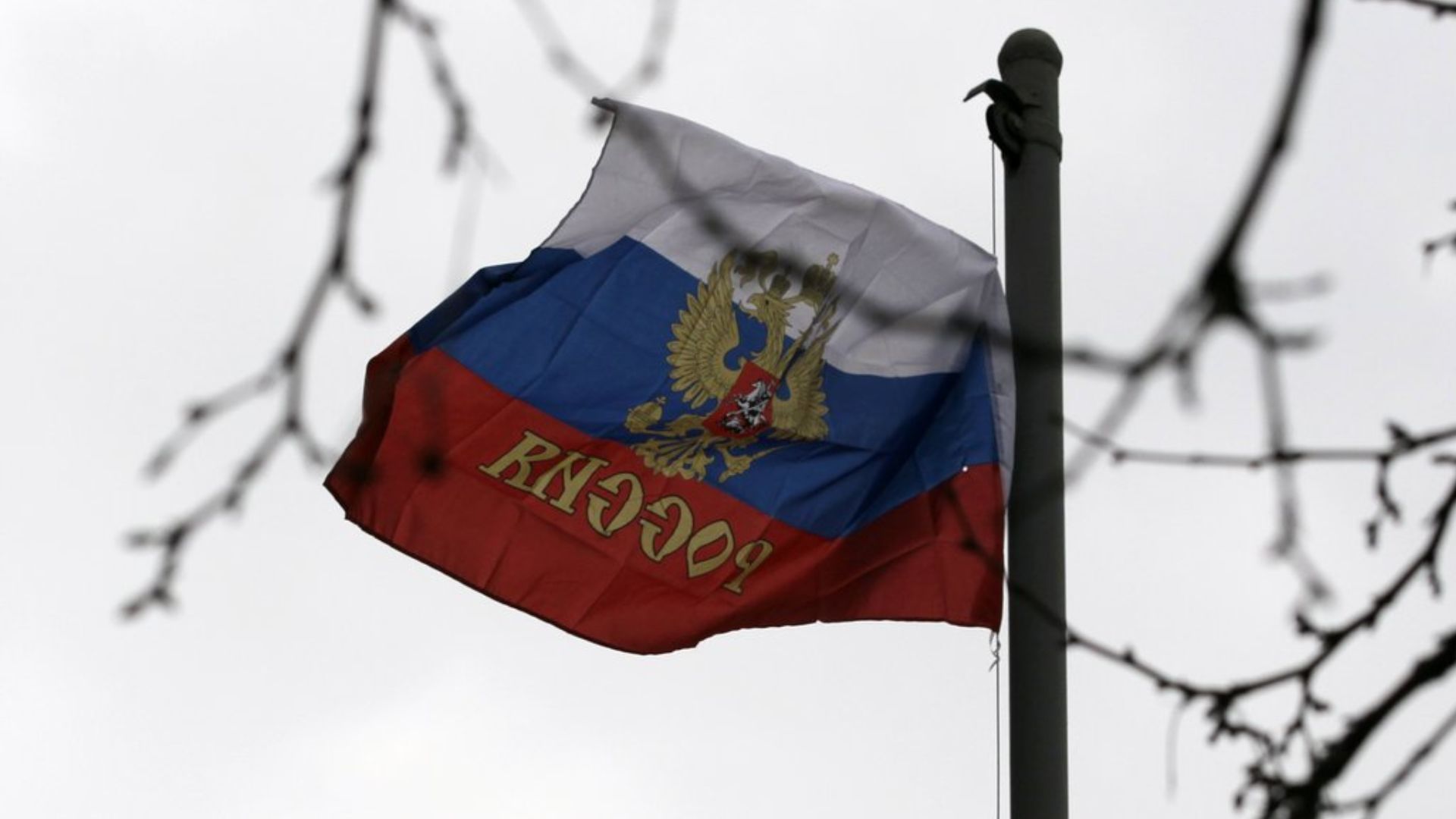 Росія могла вербувати мігрантів у Європі для здійснення терактів, – The Telegraph - 24 Канал Росія могла вербувати мігрантів у Європі для здійснення терактів, – The Telegraph - 24 Канал