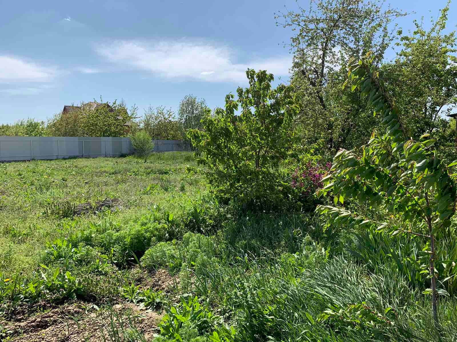 Чем можно обрезать ветки Чем можно обрезать ветки