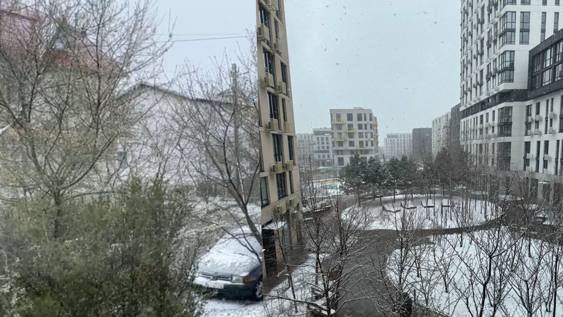 Снег в разных регионах Украины - 24 Канал Снег в разных регионах Украины - 24 Канал