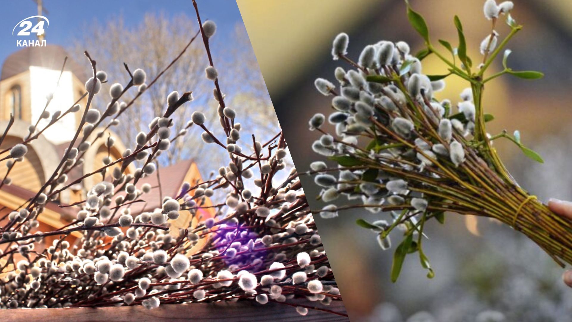 Когда святить вербу в церкви Когда святить вербу в церкви