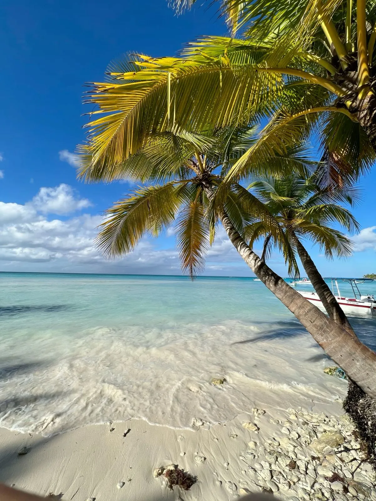 Доминикана Доминикана