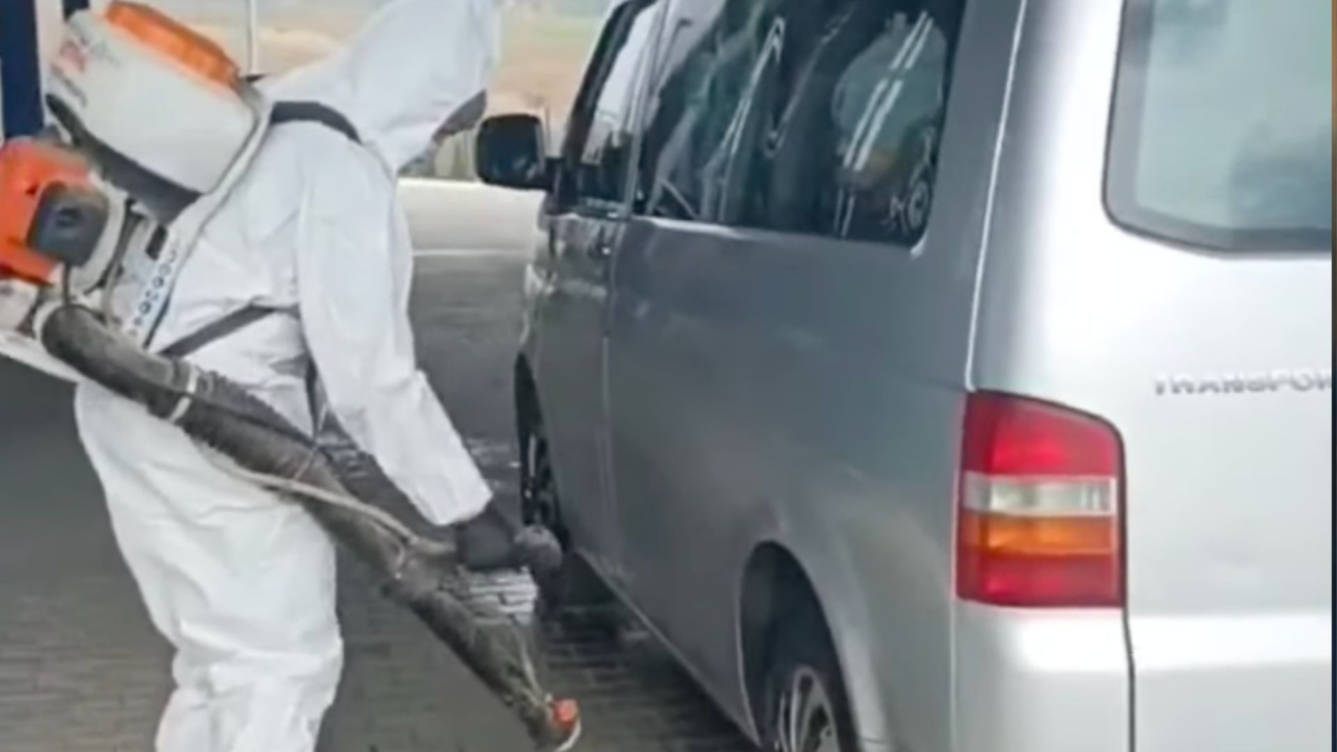 До кордонів України неблизилась небезпечна хвороба До кордонів України неблизилась небезпечна хвороба