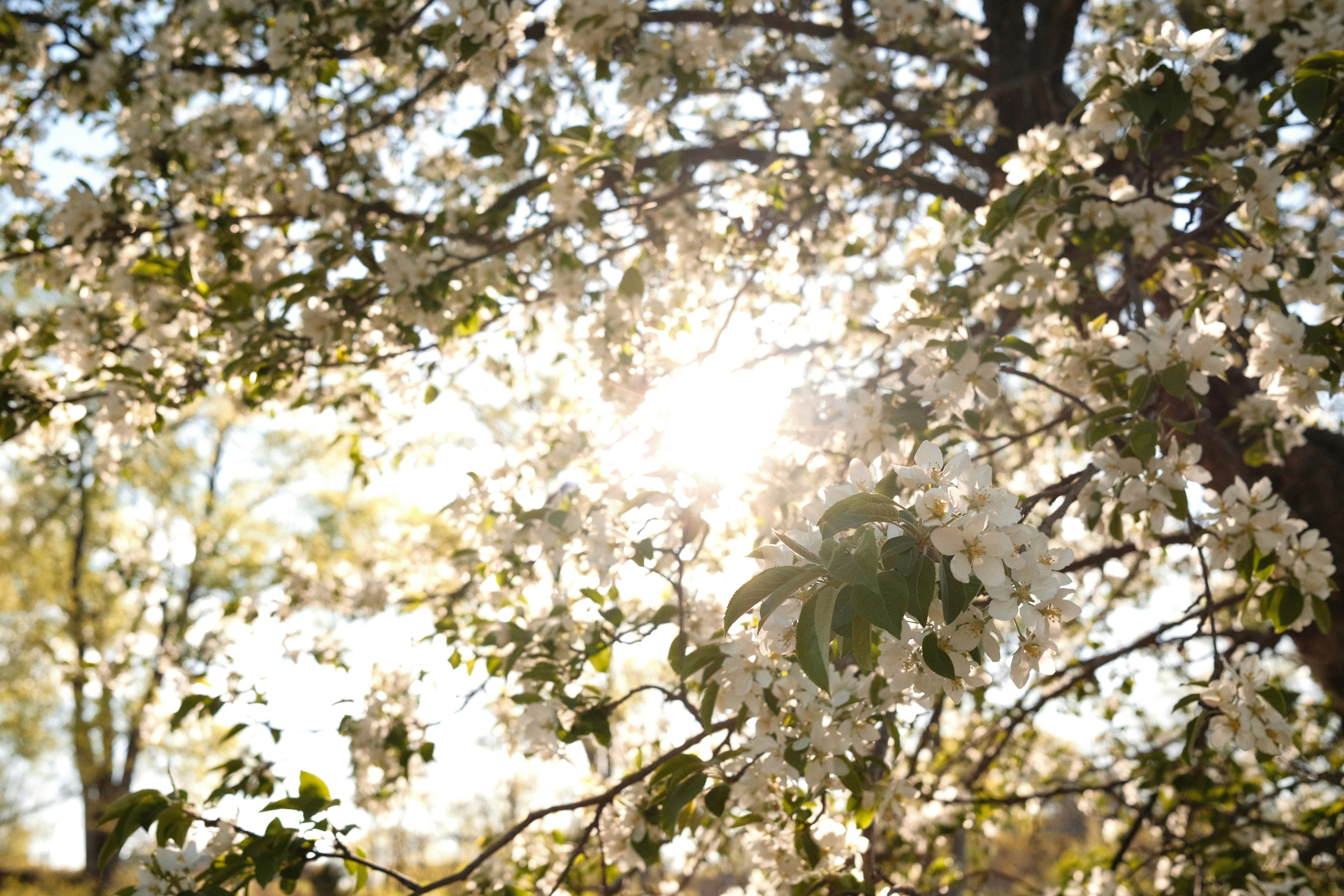 Потепління Потепління