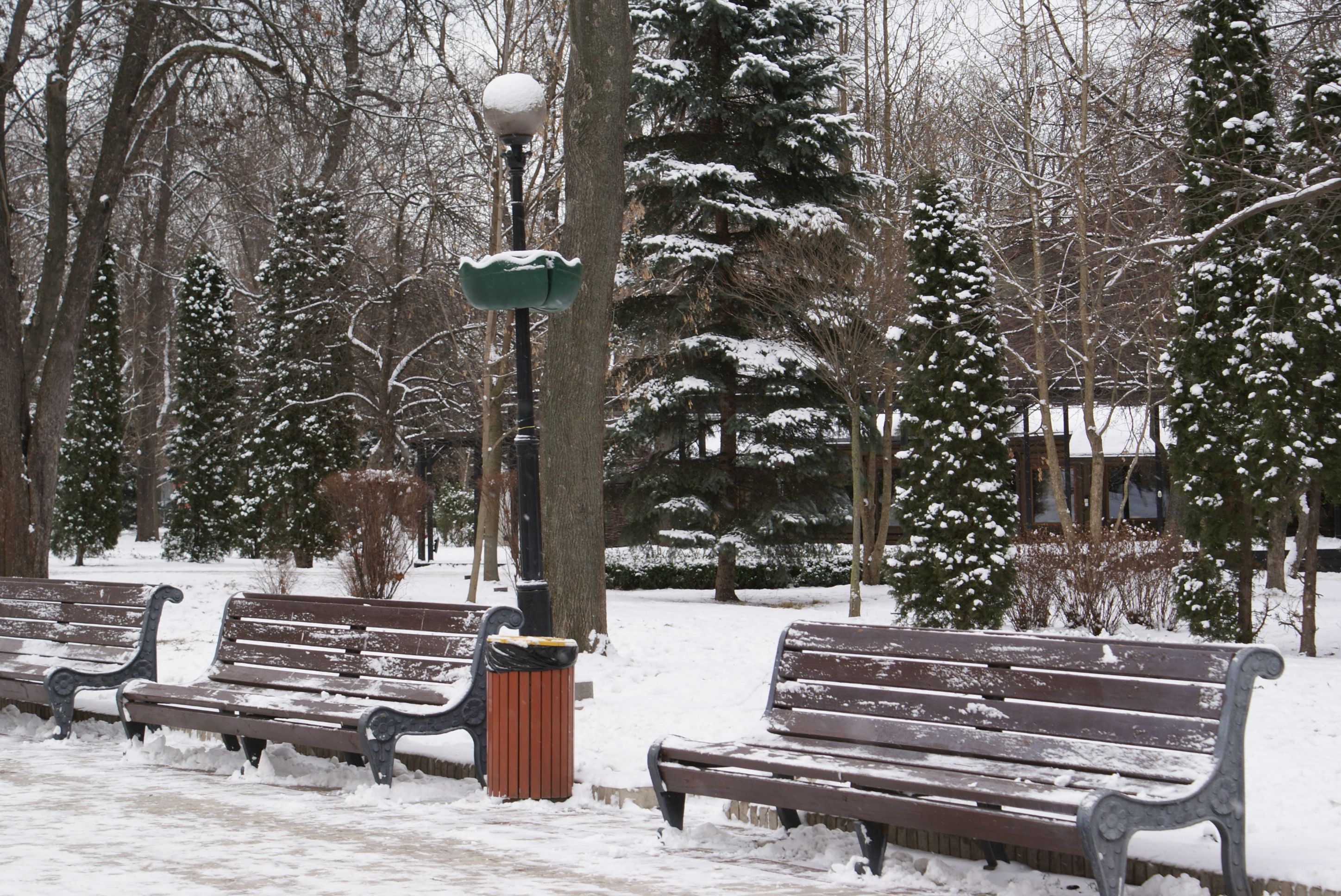 Заморозки Заморозки