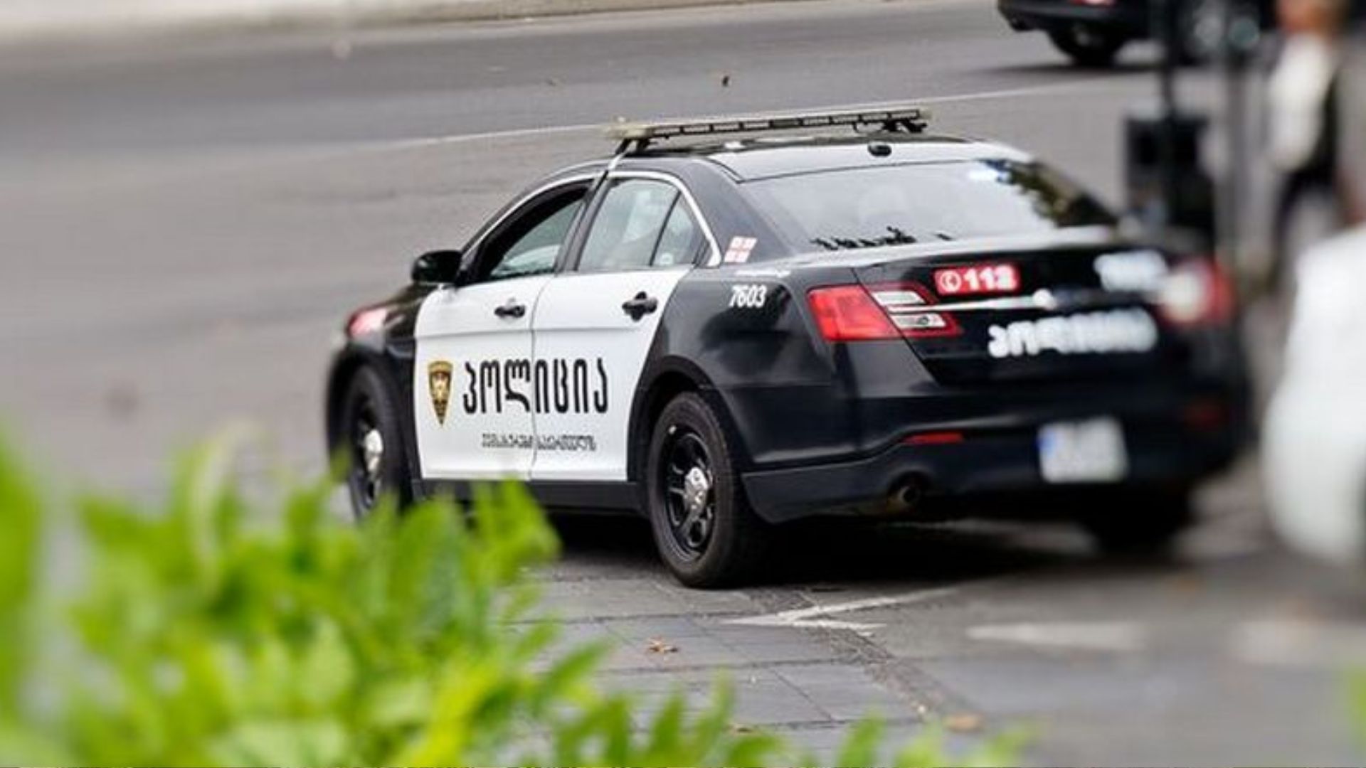 Поліція Грузії Поліція Грузії