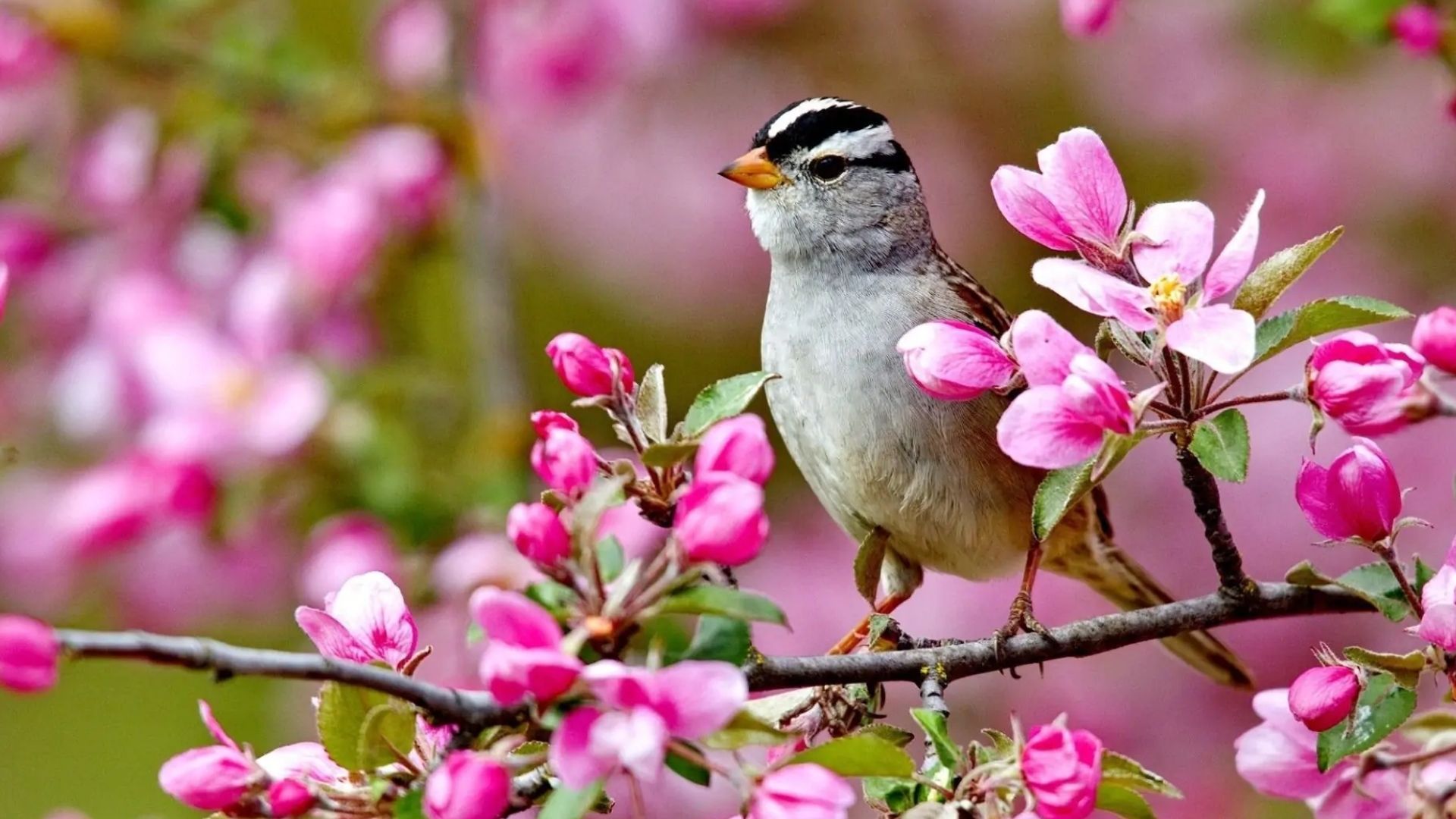 Погода в Украине 14 апреля - 24 Канал Погода в Украине 14 апреля - 24 Канал