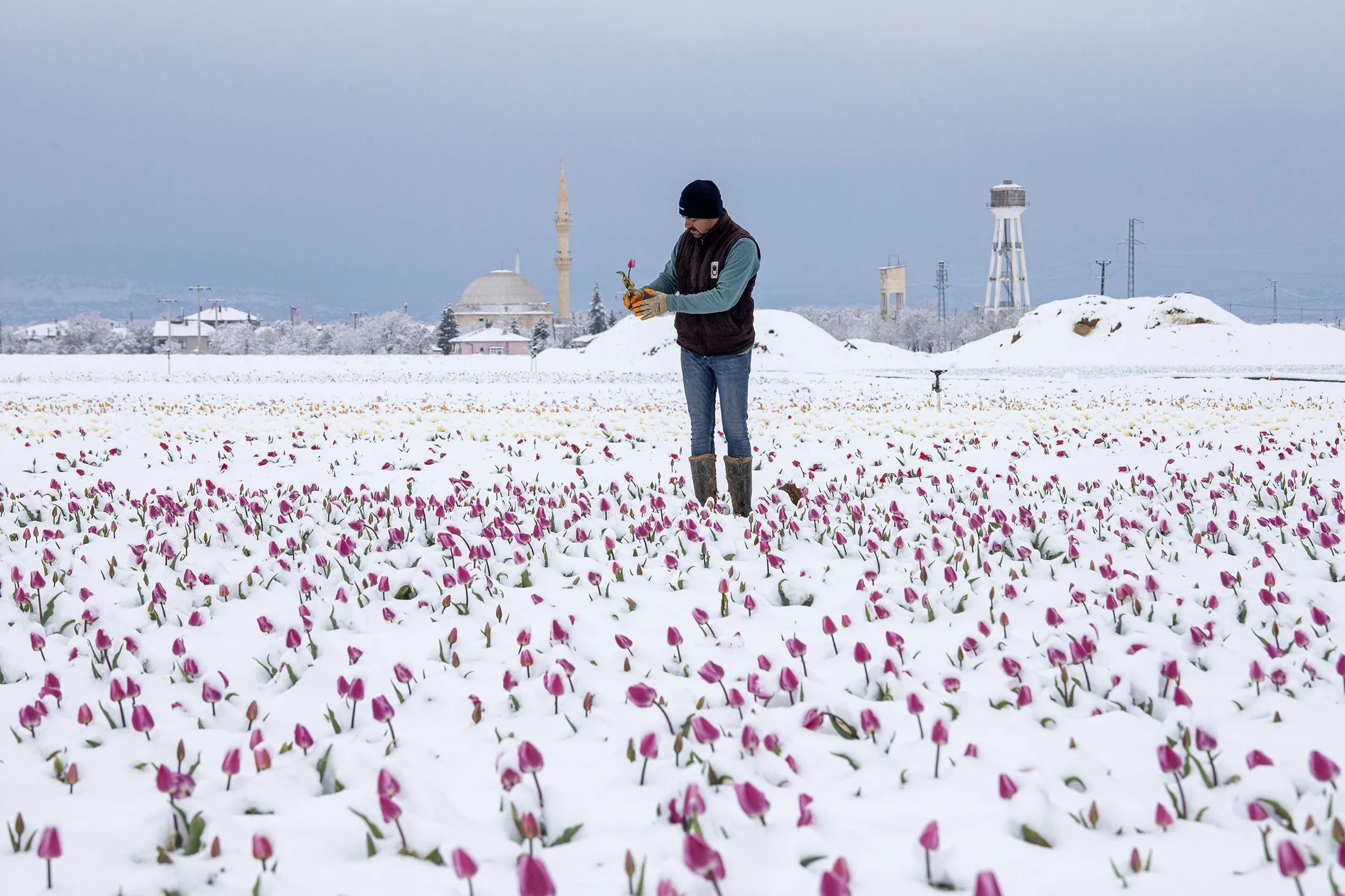 В Турции сильное похолодание В Турции сильное похолодание