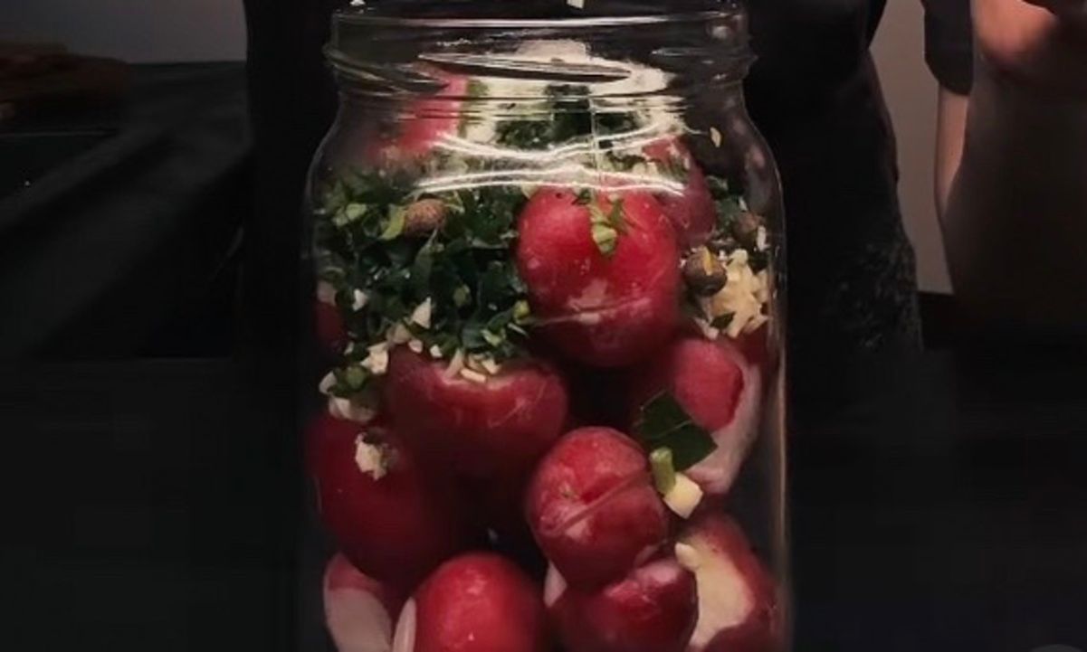 Битая редиска