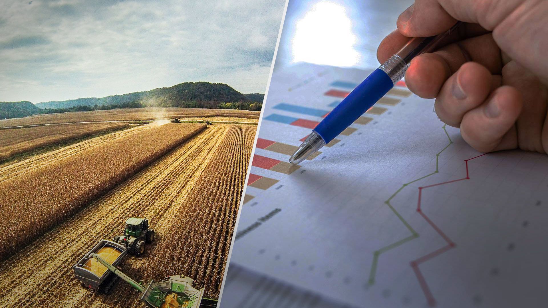 Прибутки українського бізнесу зросли: хто заробив найбільше - Бізнес Прибутки українського бізнесу зросли: хто заробив найбільше - Бізнес