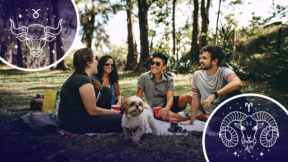 Хто зустріне справжніх друзів - гороскоп Хто зустріне справжніх друзів - гороскоп