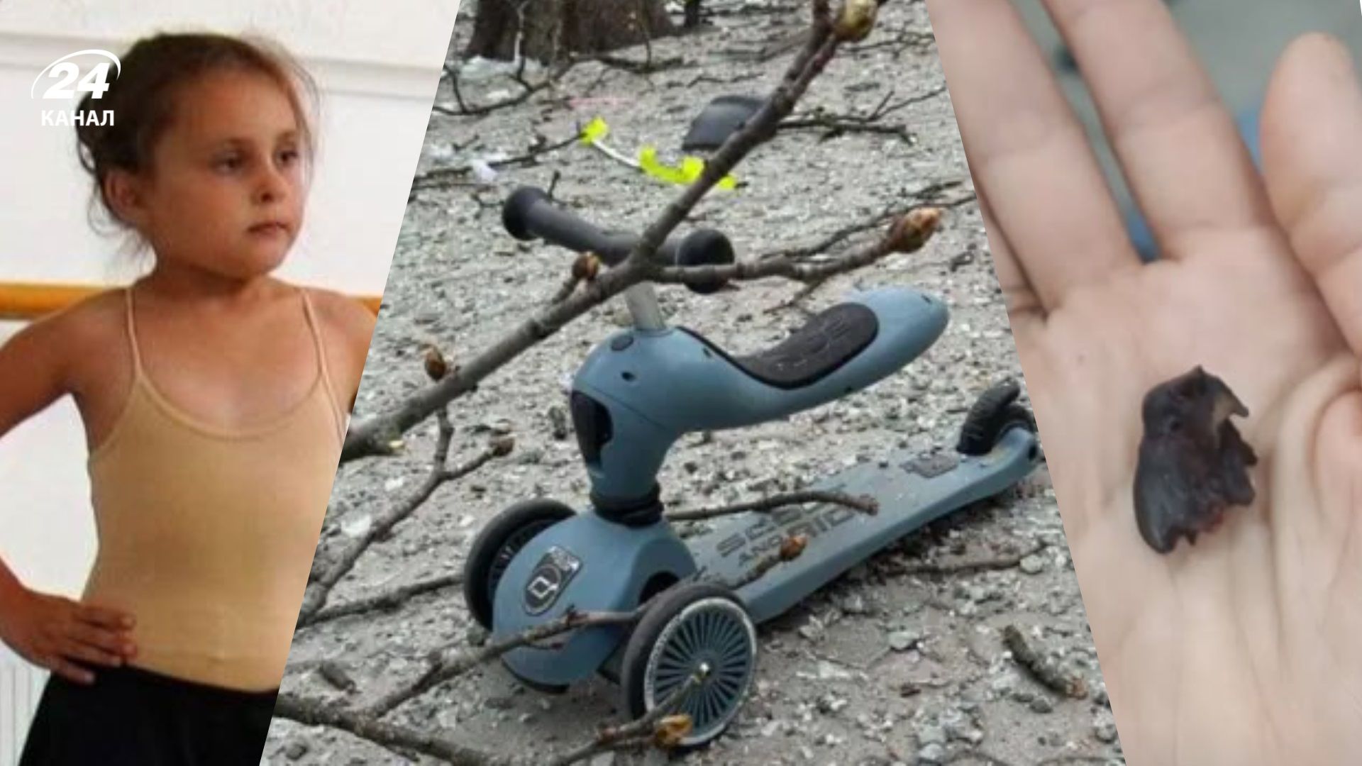 Эля лежала на земле, прикрыв голову руками, а в спине была дырка: что известно о владельцах синь - 24 Канал Эля лежала на земле, прикрыв голову руками, а в спине была дырка: что известно о владельцах синь - 24 Канал