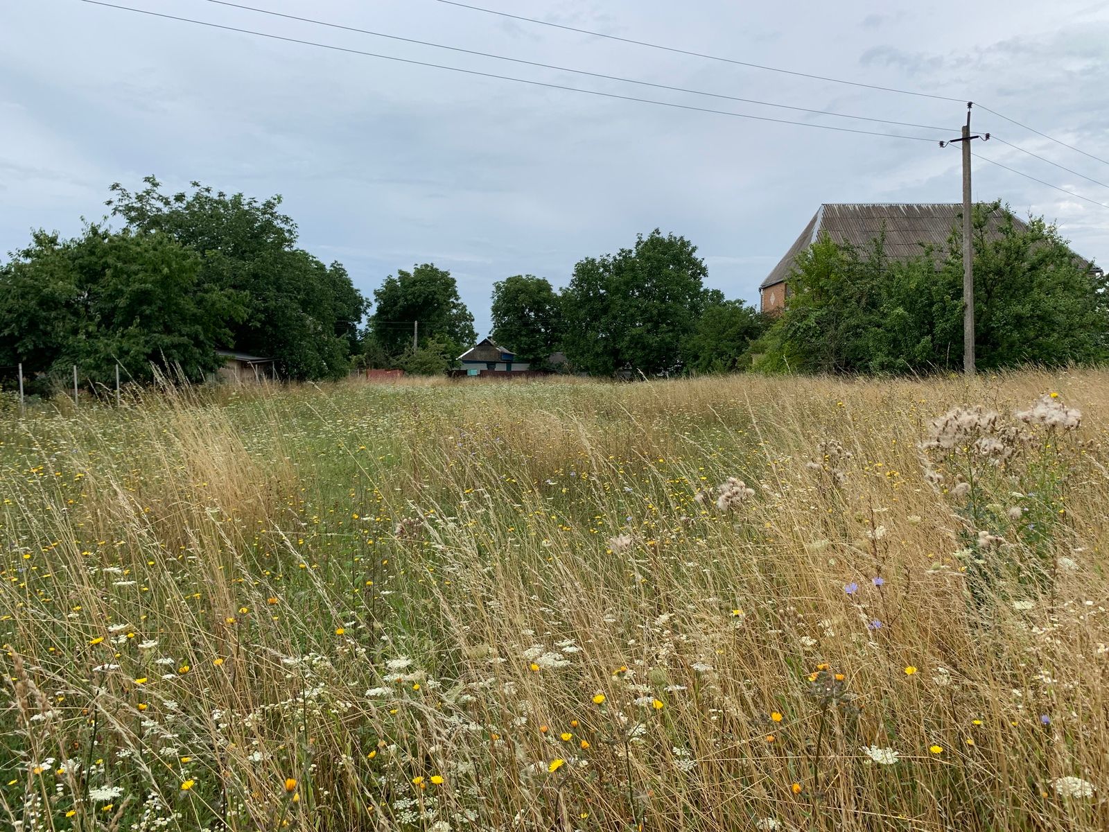 Скільки землі виділяють УБД Скільки землі виділяють УБД
