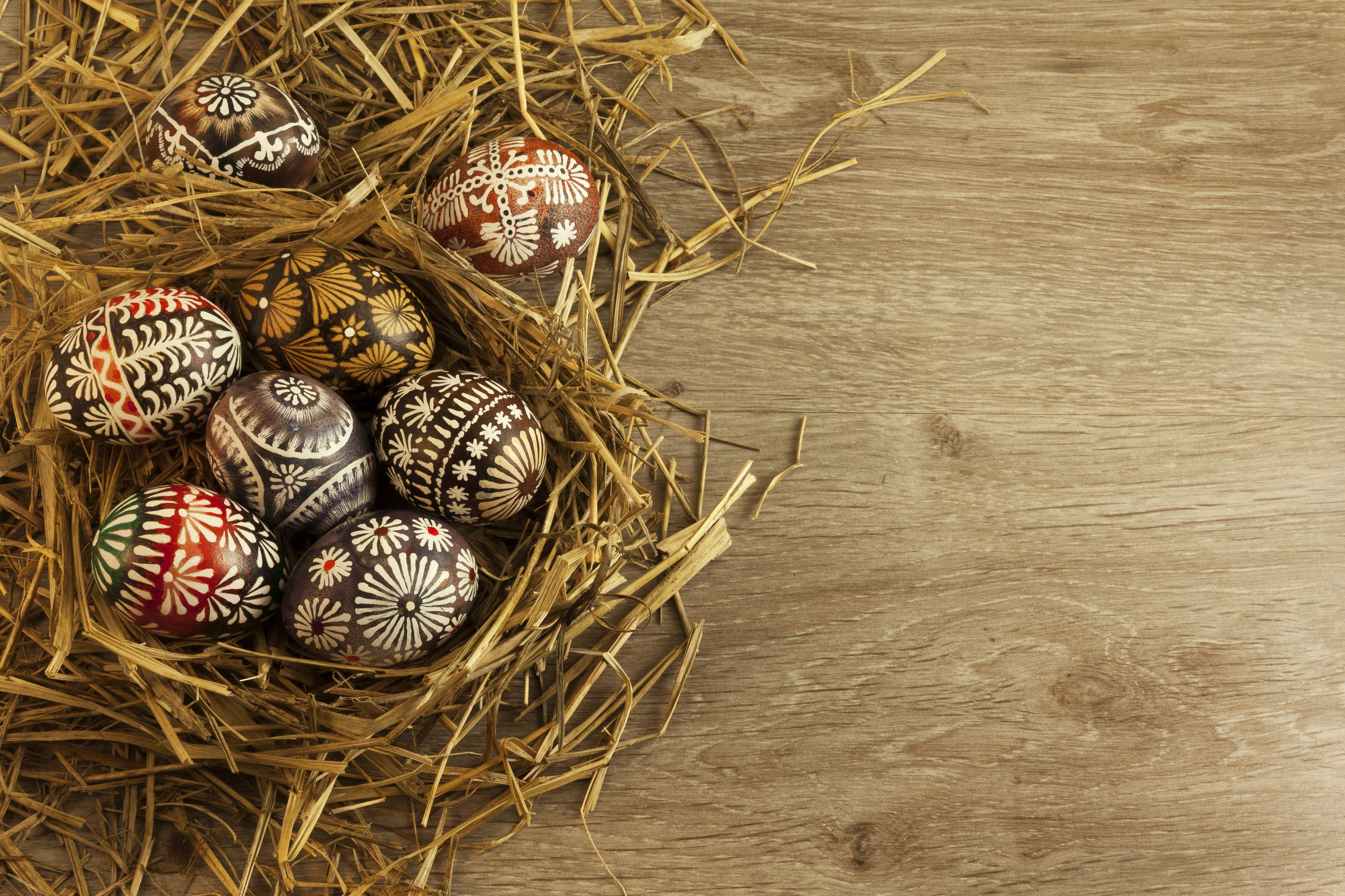 Чому яйце стало одним із головних символів Великодня Чому яйце стало одним із головних символів Великодня