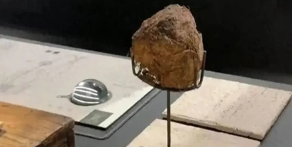 В китайском ресторане продают десерт из слоновьего помета В китайском ресторане продают десерт из слоновьего помета