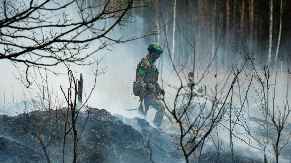 Оккупанты не прекратили огонь на фронте Оккупанты не прекратили огонь на фронте