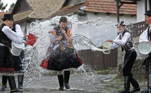 Поливальный понедельник Поливальный понедельник