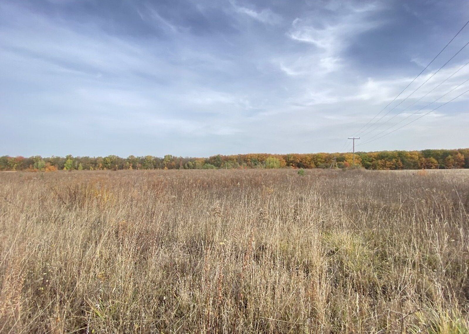 Какой минимальный срок аренды земли Какой минимальный срок аренды земли