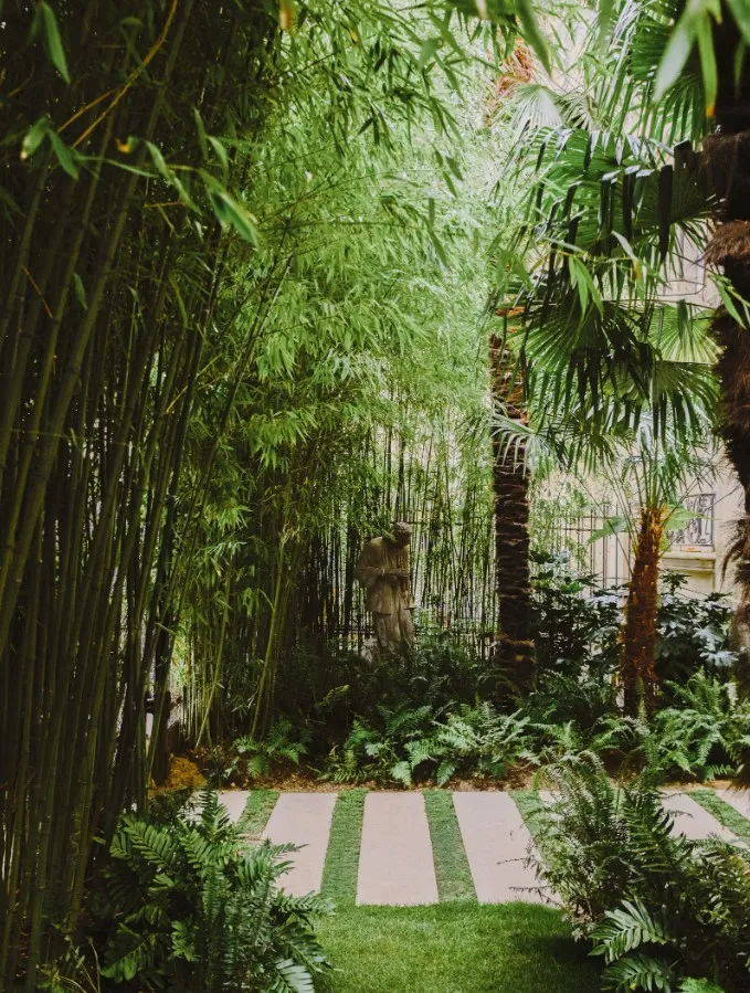 Сад Ленни Кравица Сад Ленни Кравица