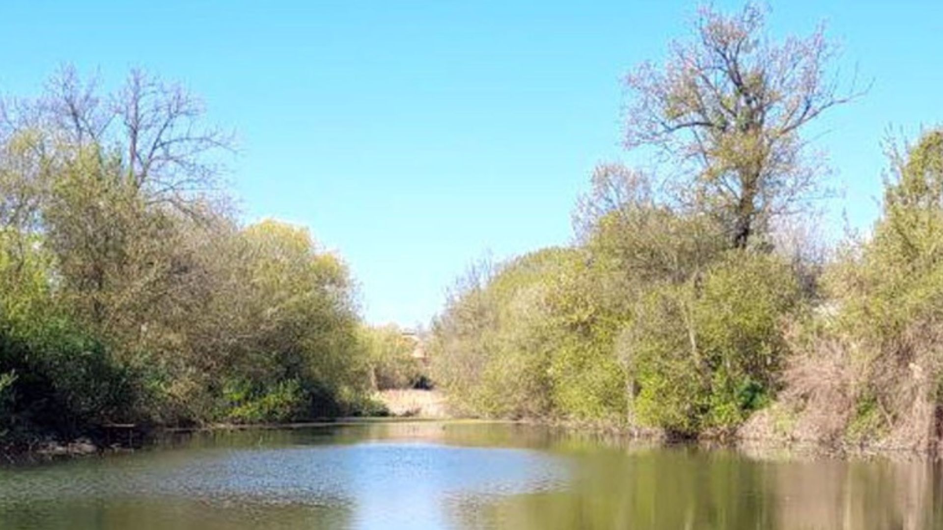 В Лубнах в пруду нашли тело 5-летнего мальчика в пруду В Лубнах в пруду нашли тело 5-летнего мальчика в пруду