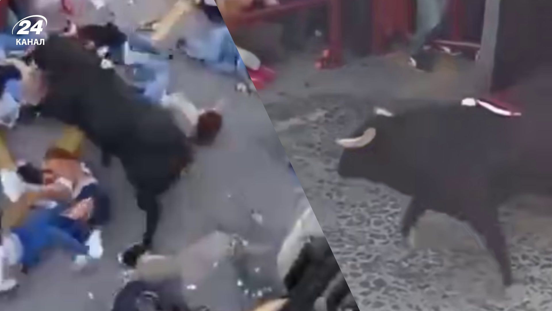 В Іспанії 500-кілограмовий бик, що оскаженів, атакував людей - 24 Канал В Іспанії 500-кілограмовий бик, що оскаженів, атакував людей - 24 Канал